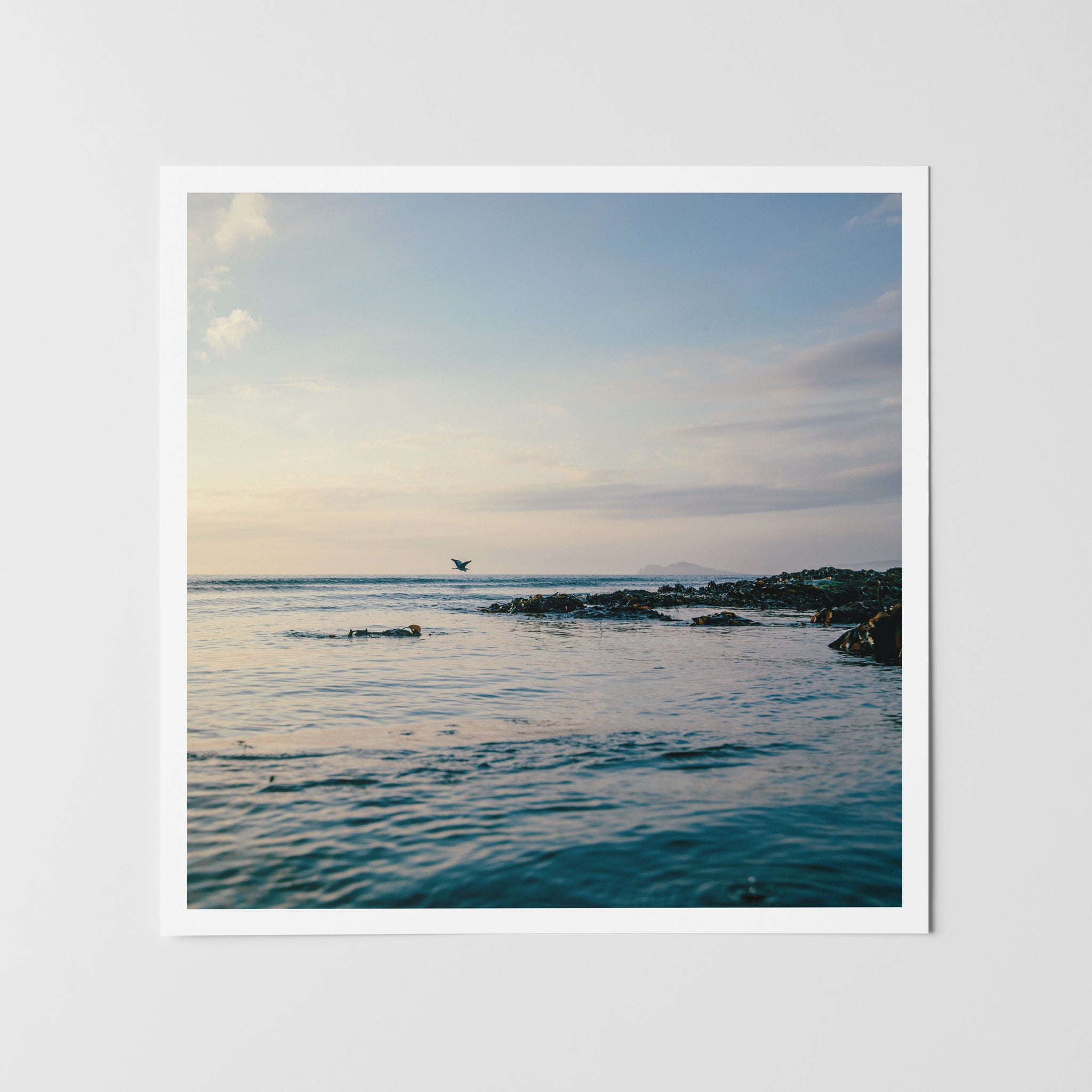 Prints