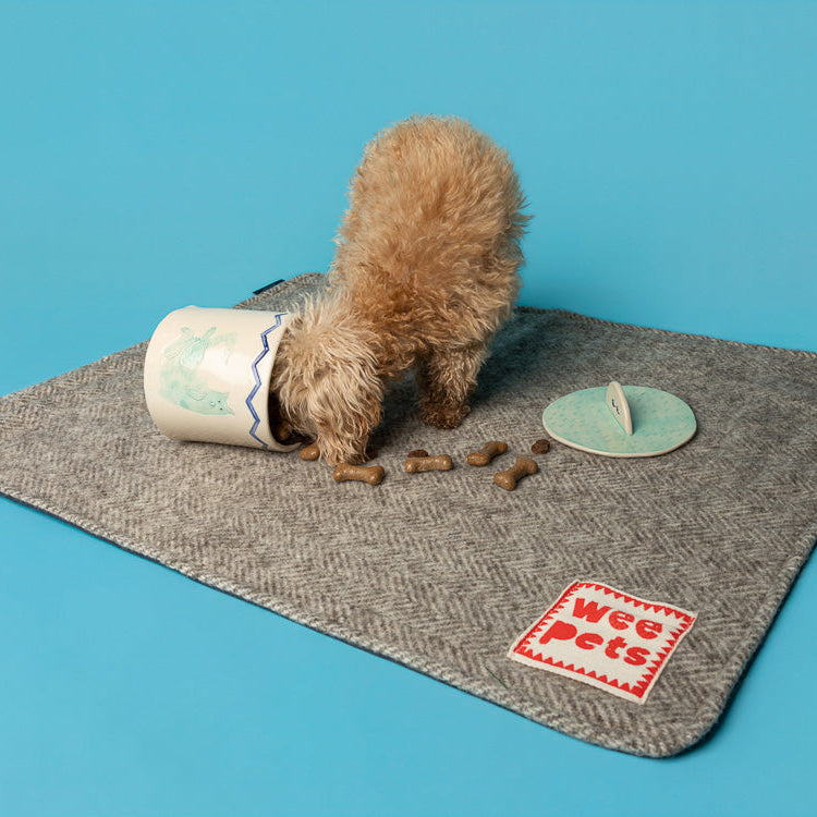 Dog Treat Jar