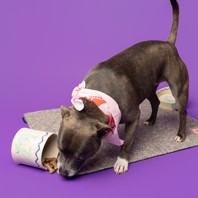 Dog Treat Jar