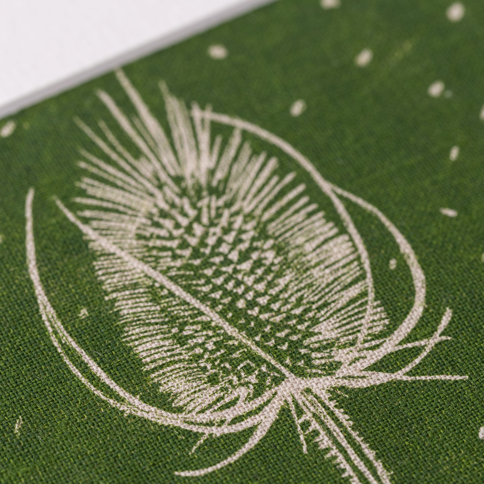 Teasels
