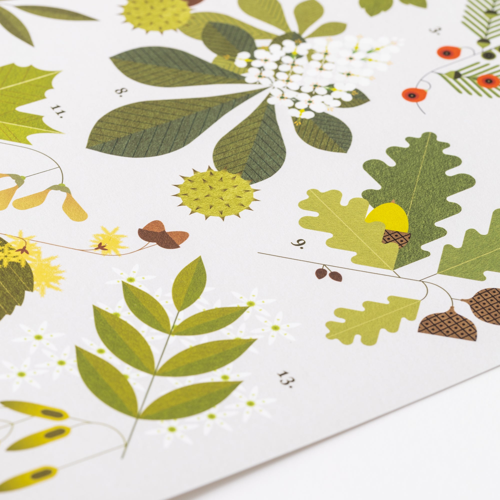 Woodlands of Ireland Print