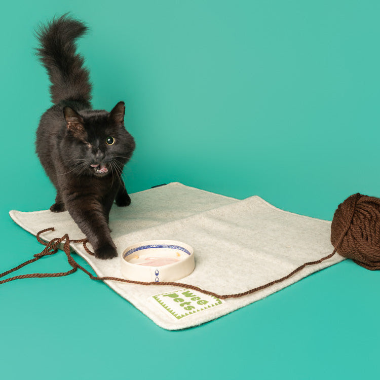 Pet Blanket