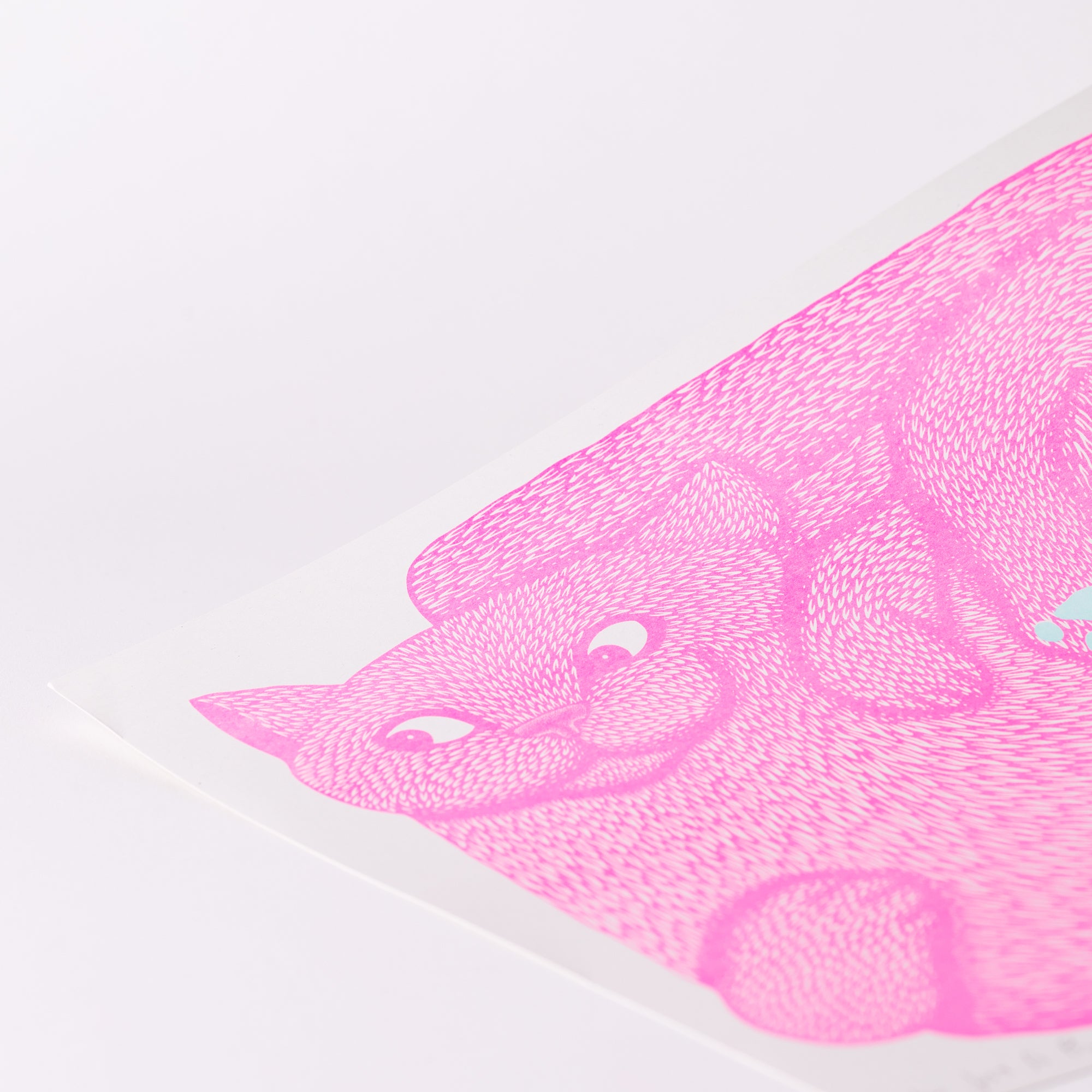 Paw Boy Riso Print