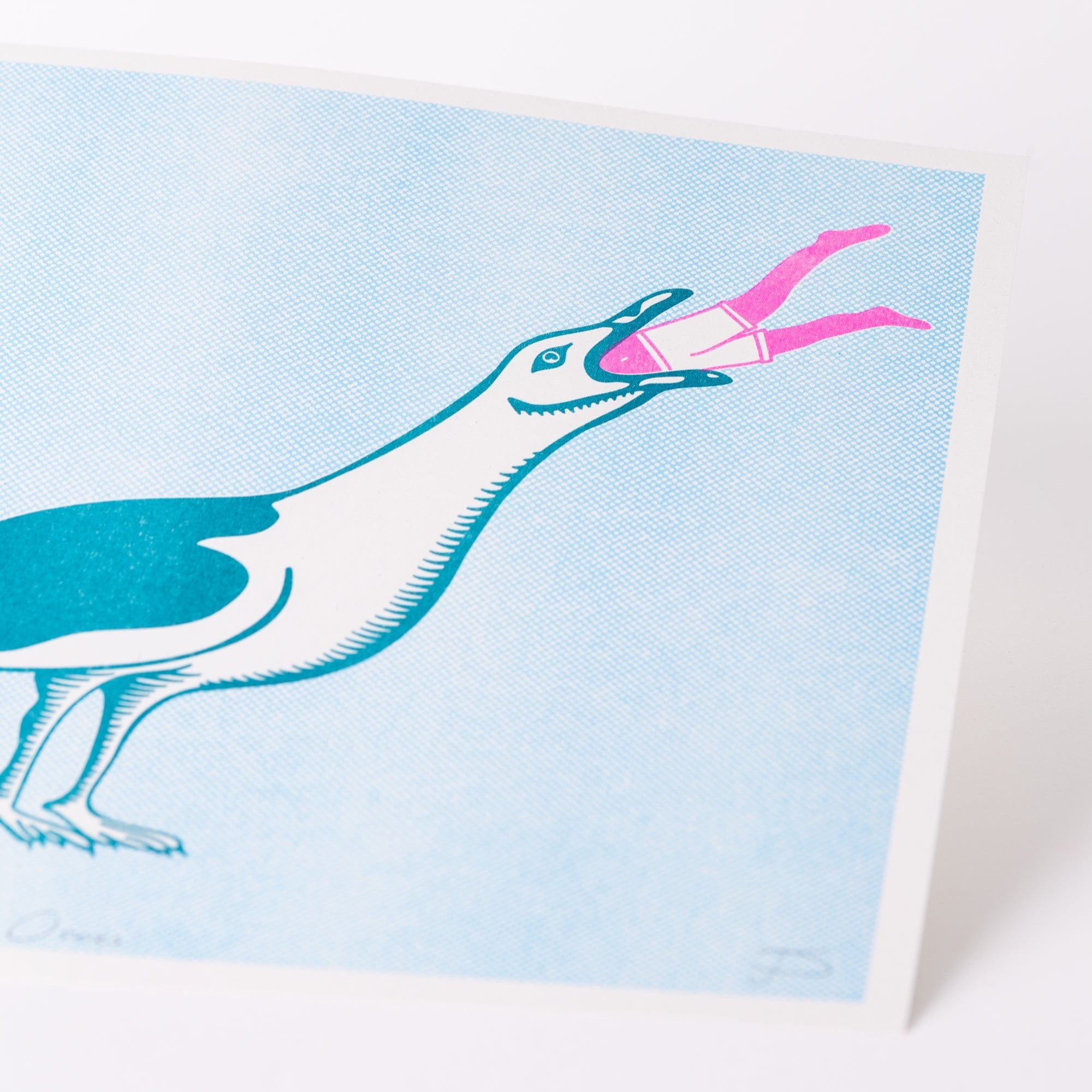 Some Gulls Riso Print