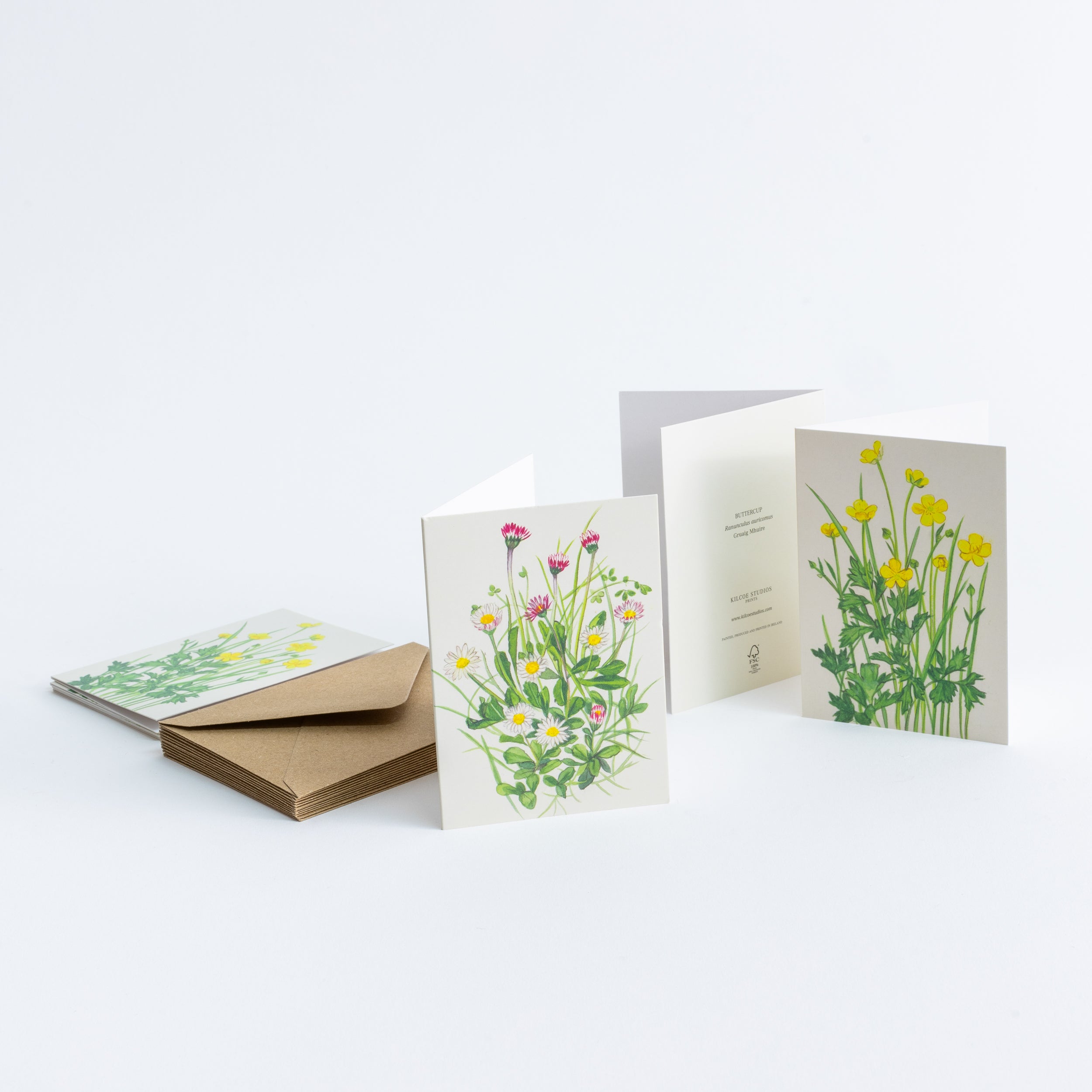 Kilcoe Miniature Cards