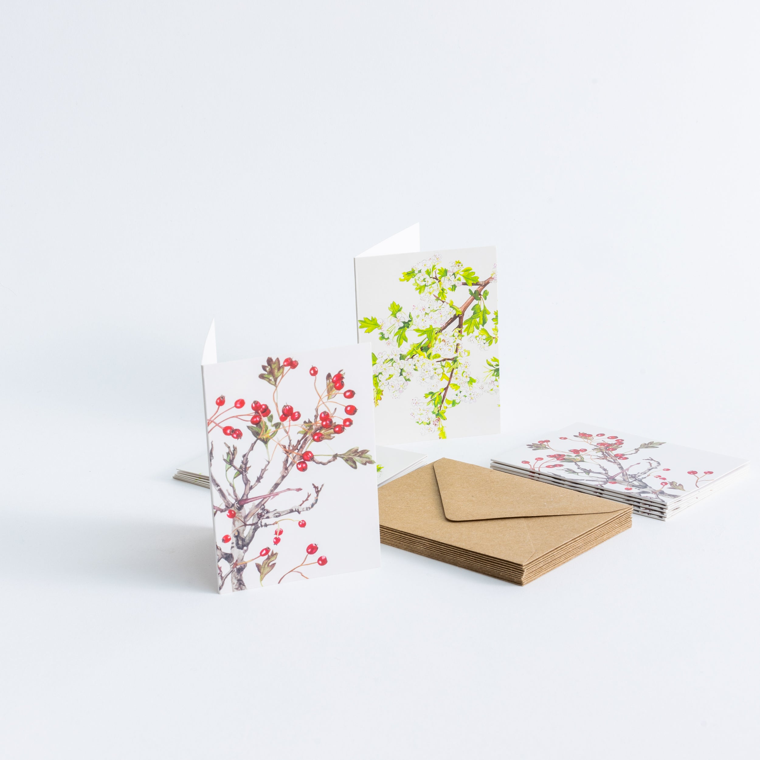 Kilcoe Miniature Cards
