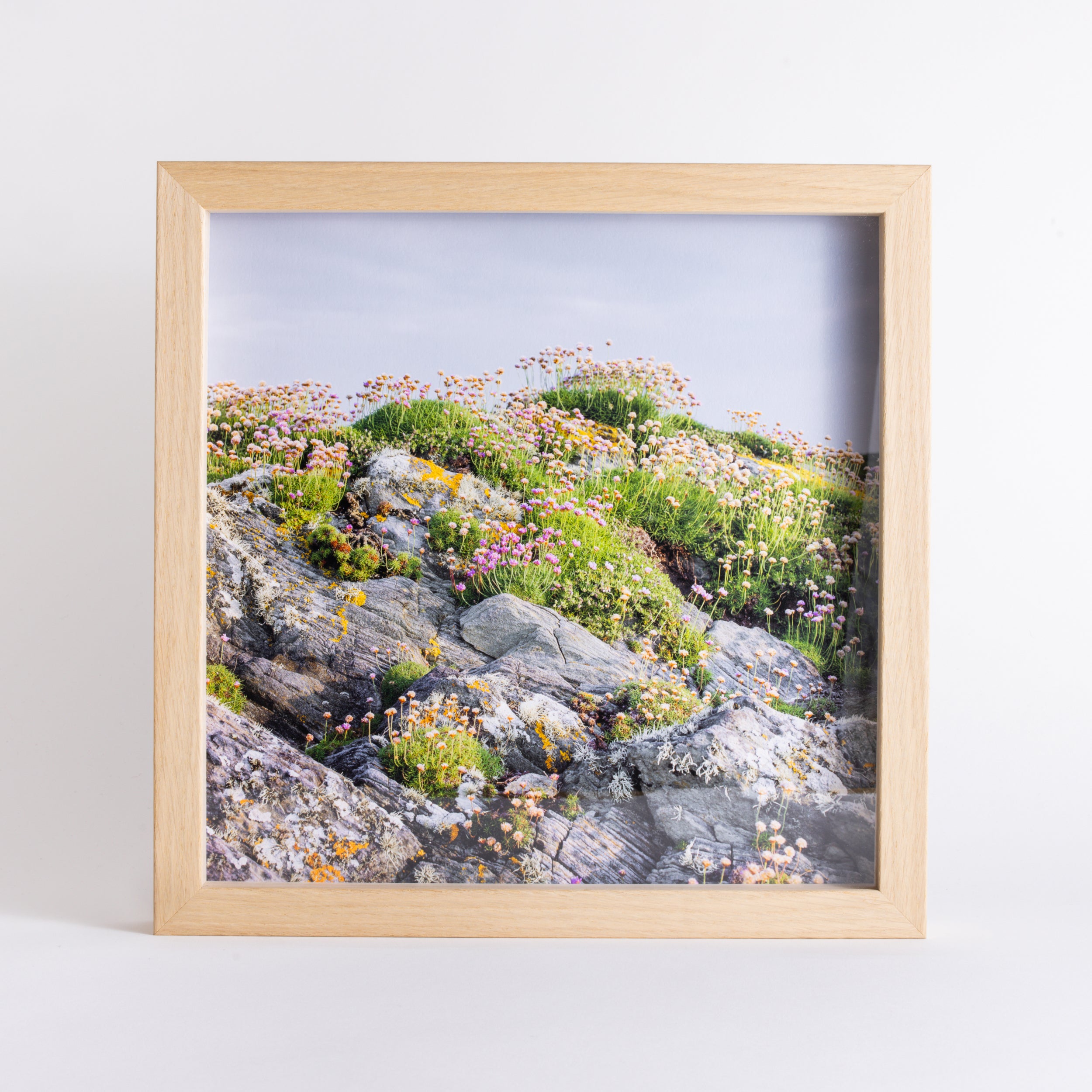 Framed Sea Pinks