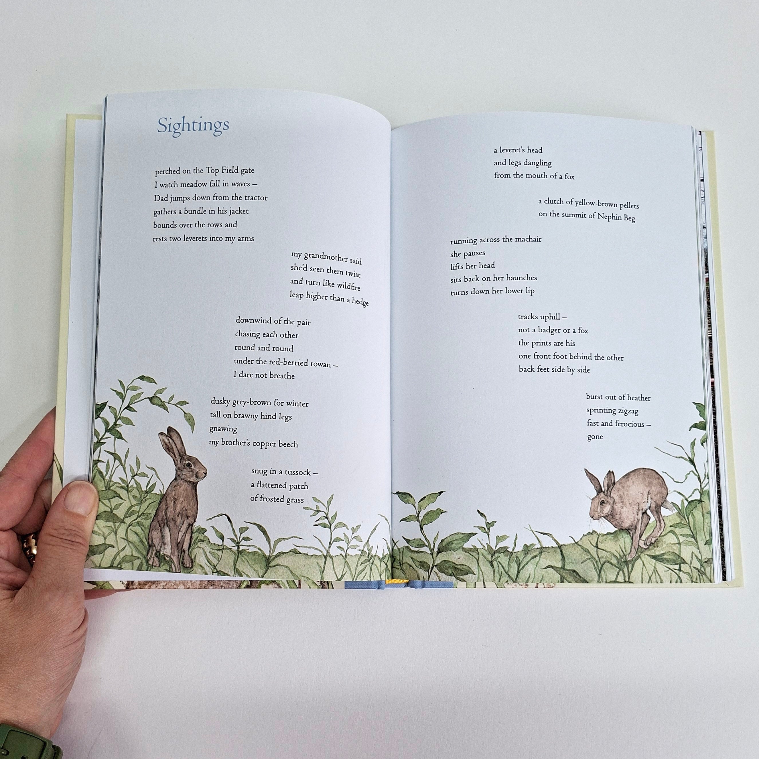 The Hare's Corner