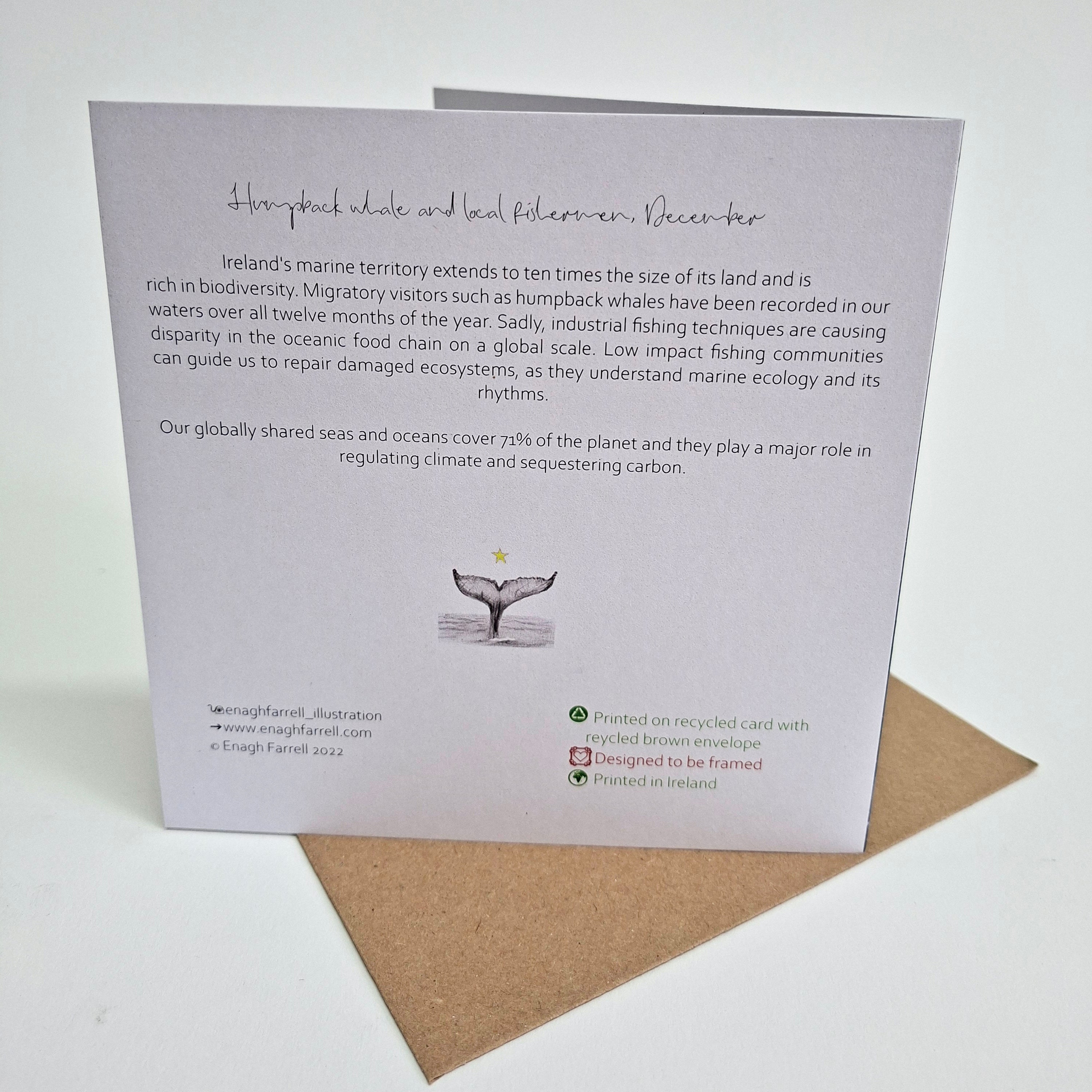 Winter Cards (for a fragile planet)