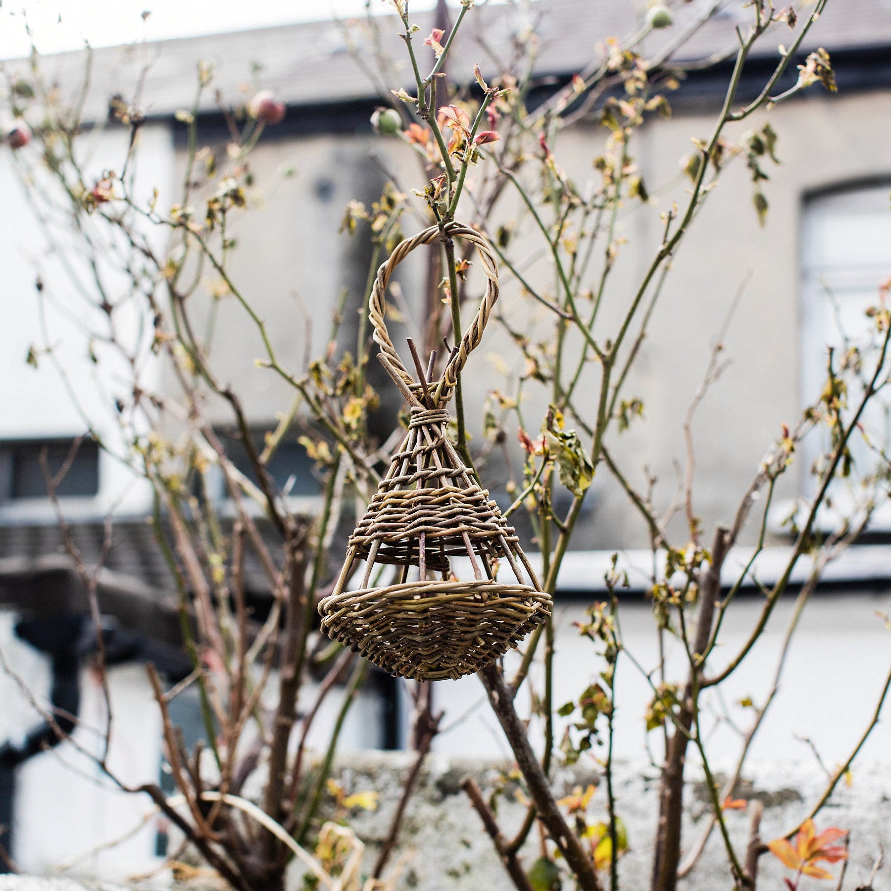 Willow Birdfeeder - Irish Design Shop