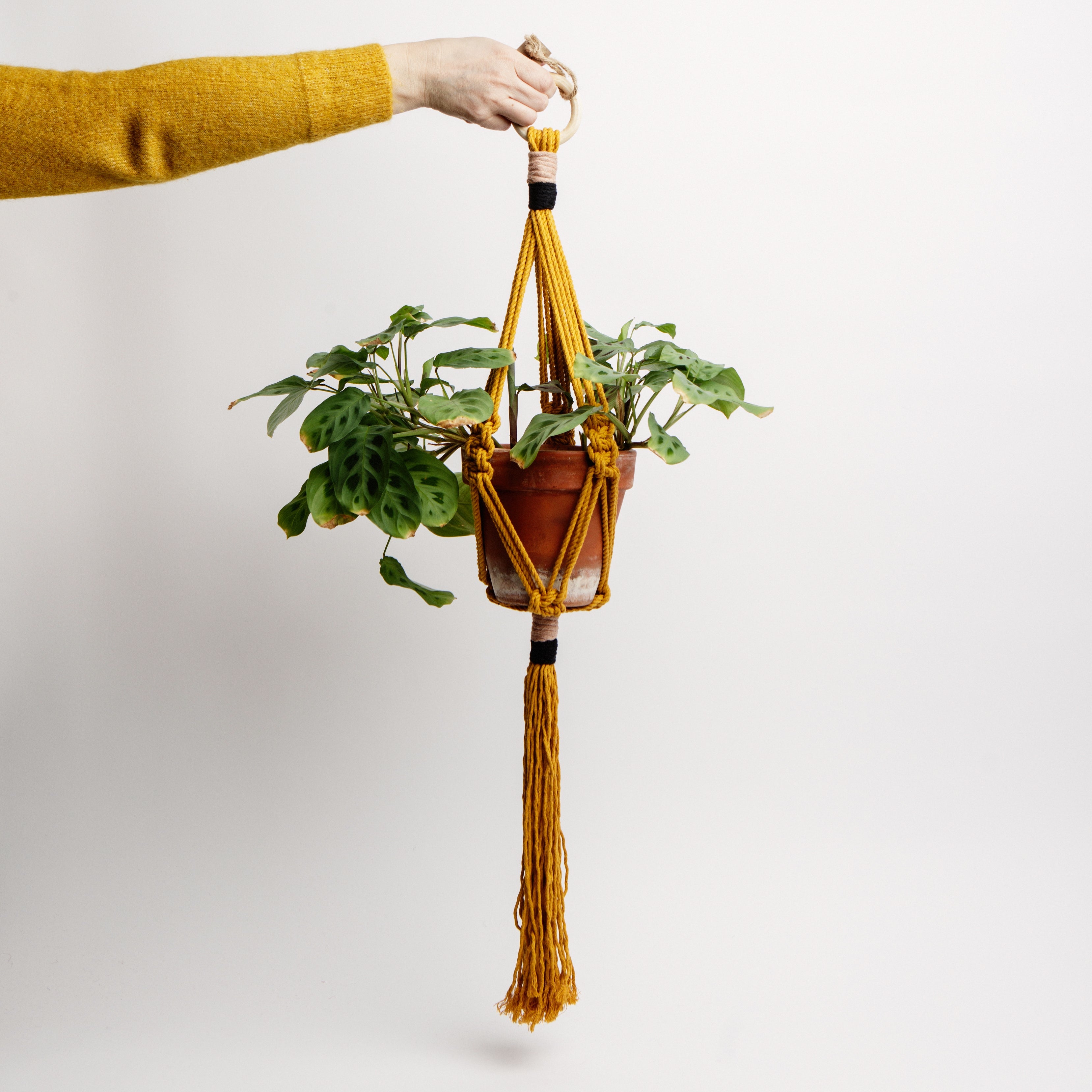 Macrame Colour Block Plant Holder