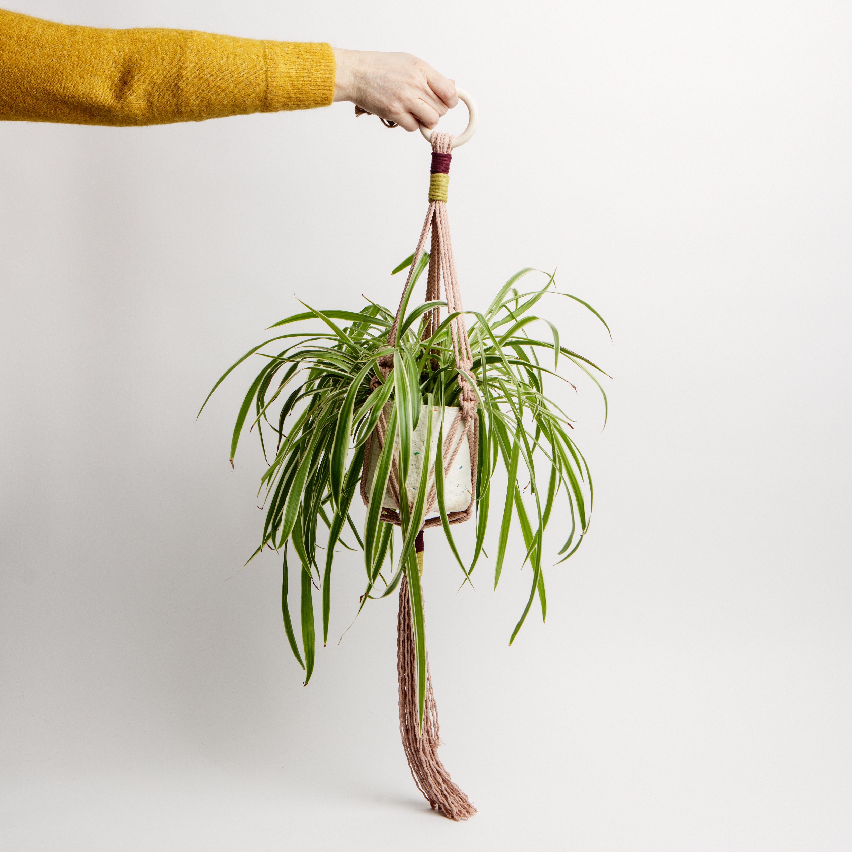 Macrame Colour Block Plant Holder