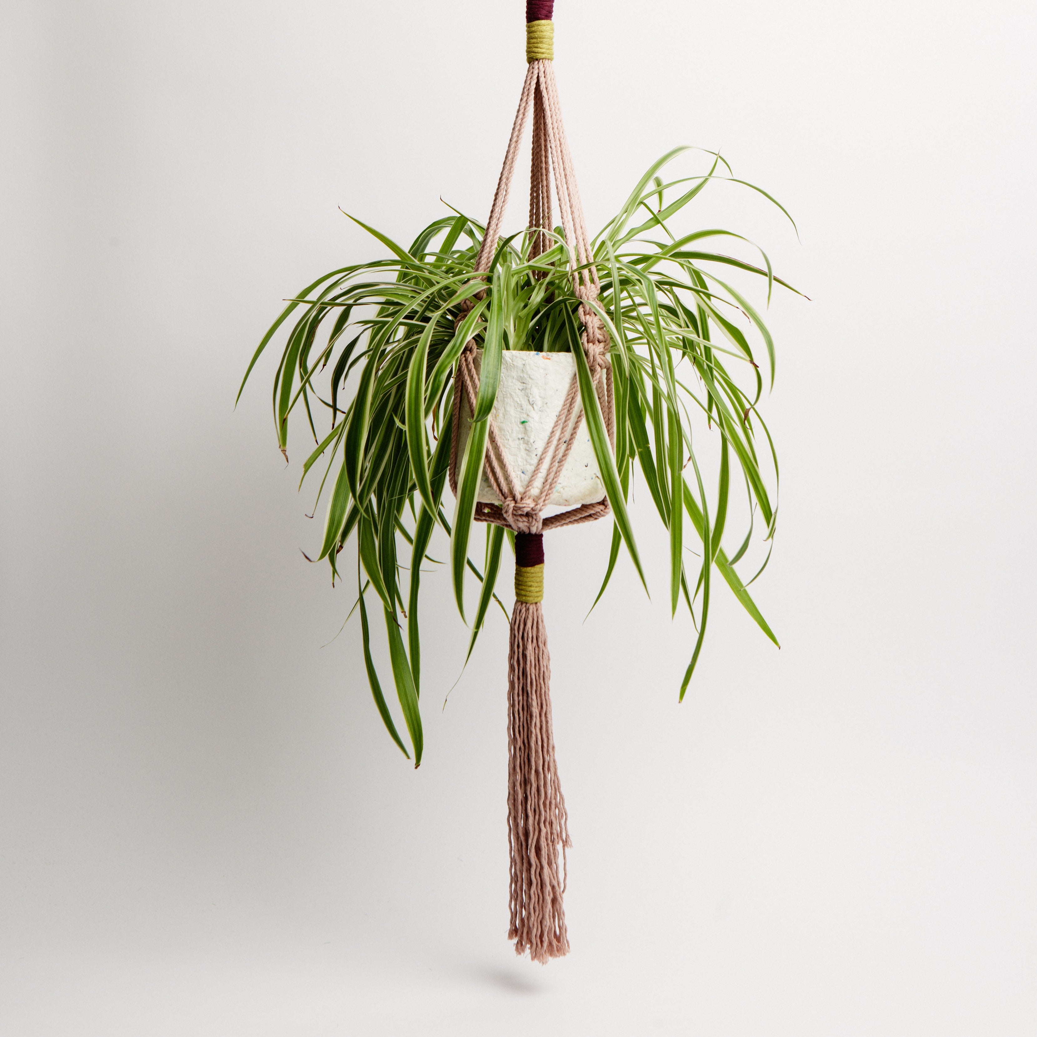 Macrame Colour Block Plant Holder