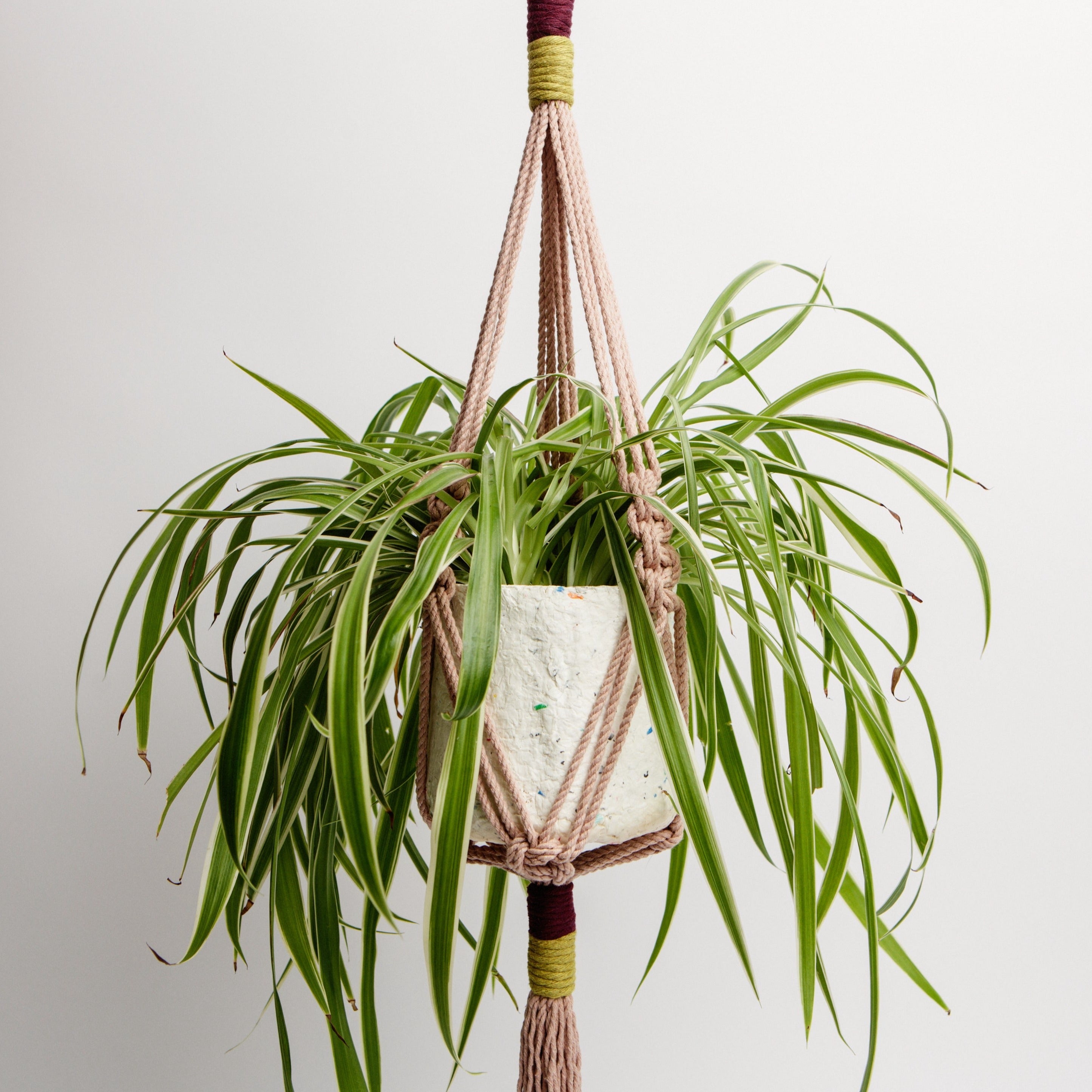 Macrame Colour Block Plant Holder