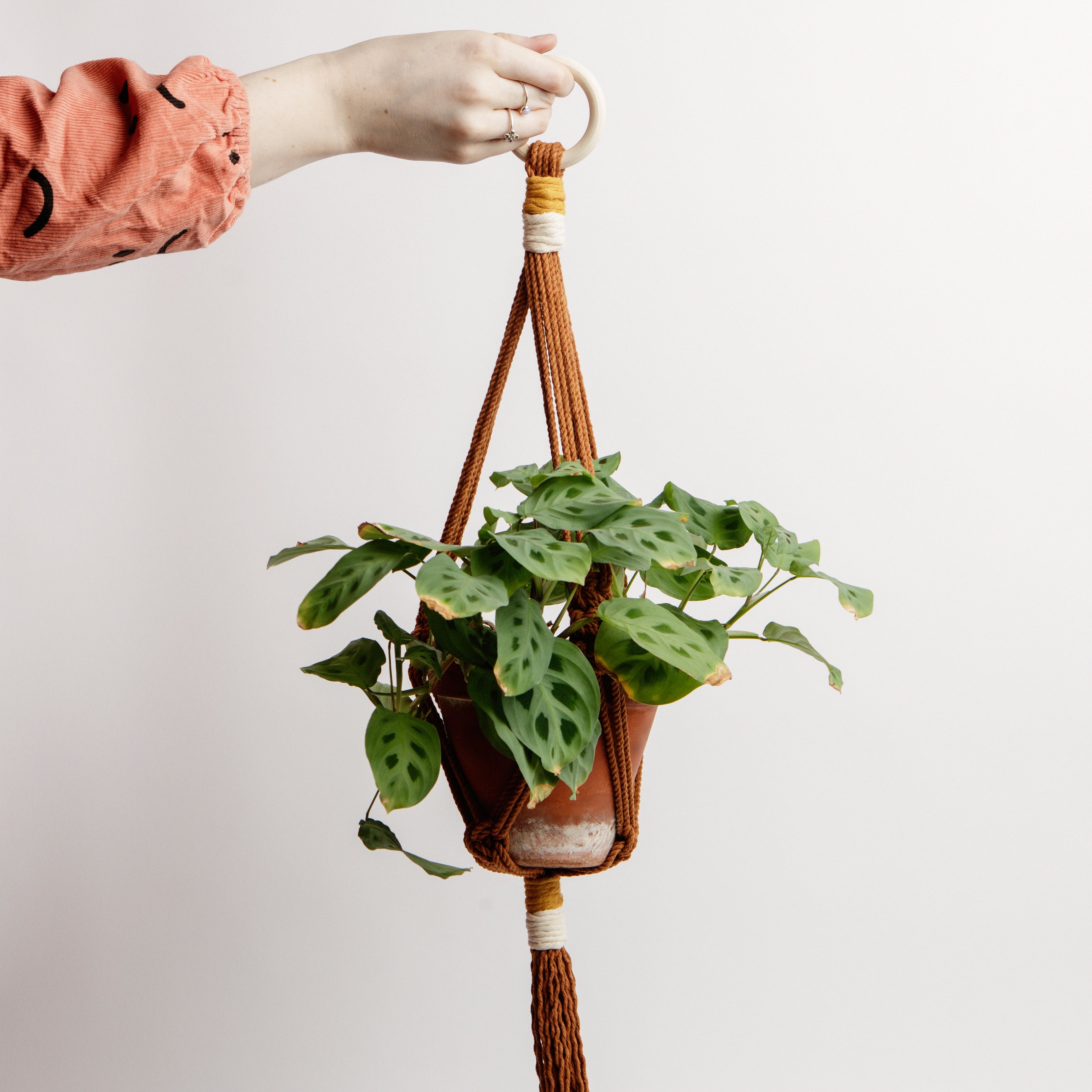 Macrame Colour Block Plant Holder