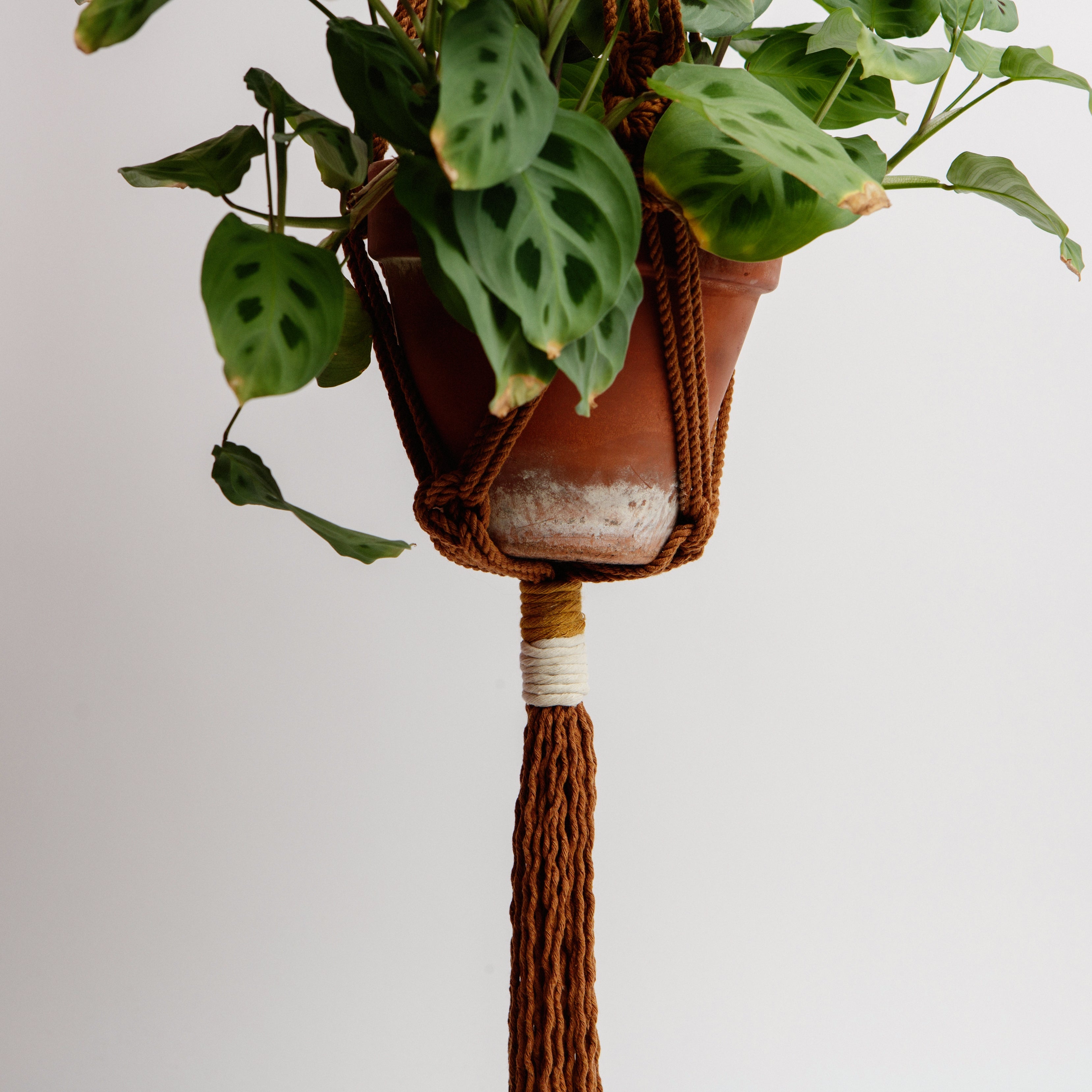 Macrame Colour Block Plant Holder