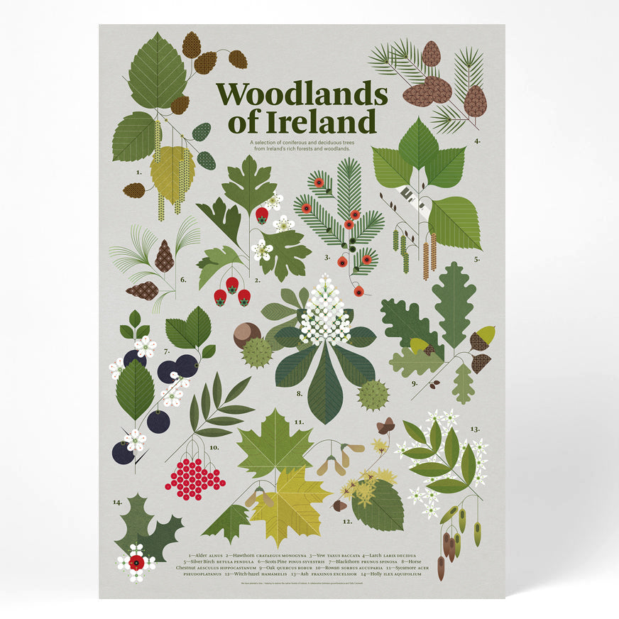 Woodlands of Ireland Print