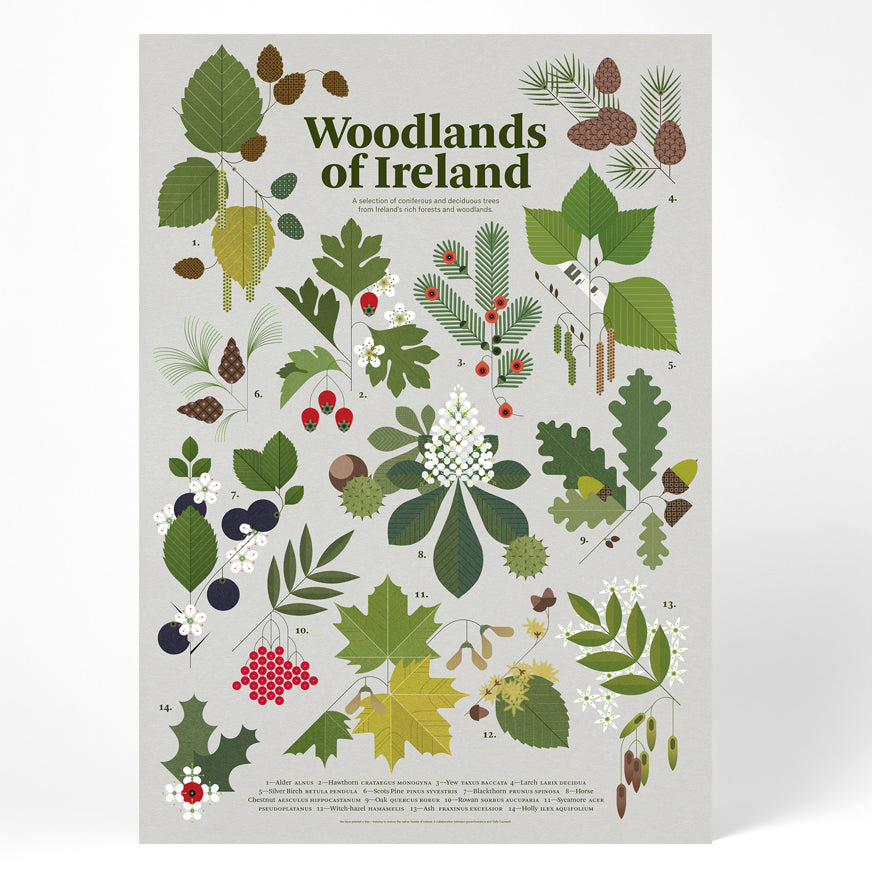Woodlands of Ireland Print data-zoom=