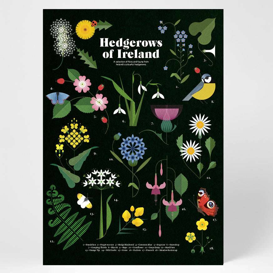 Hedgerows of Ireland Print - Irish Design Shop data-zoom=