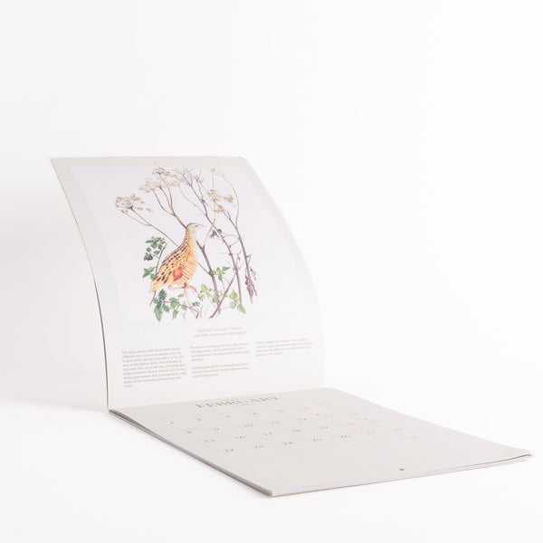Prints, Books & Calendars