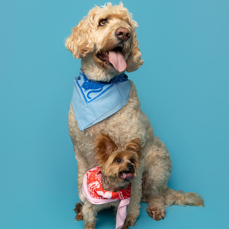 Pet Bandana