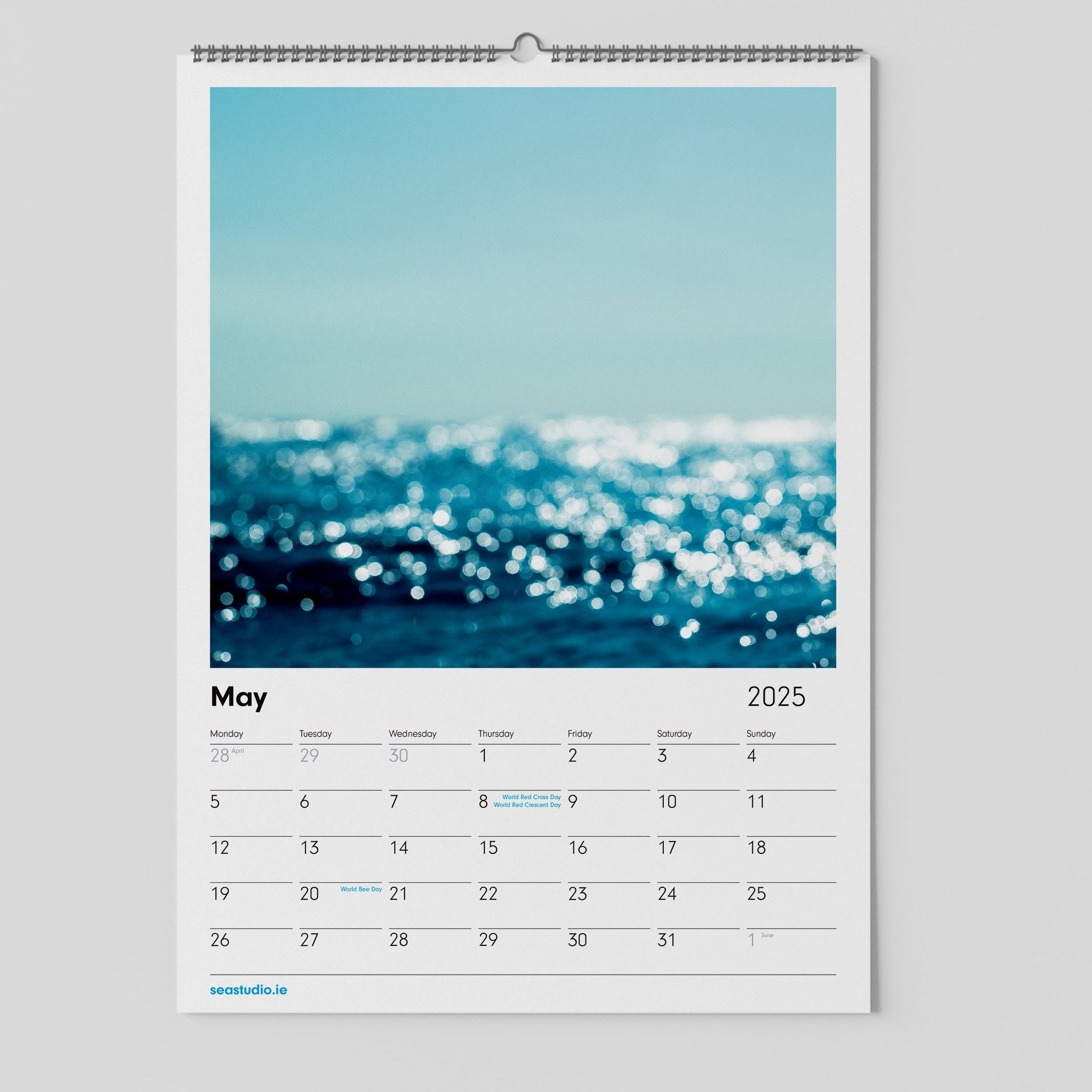 Sea Studio - 2025 Calendar