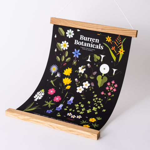 Burren Botanicals Print