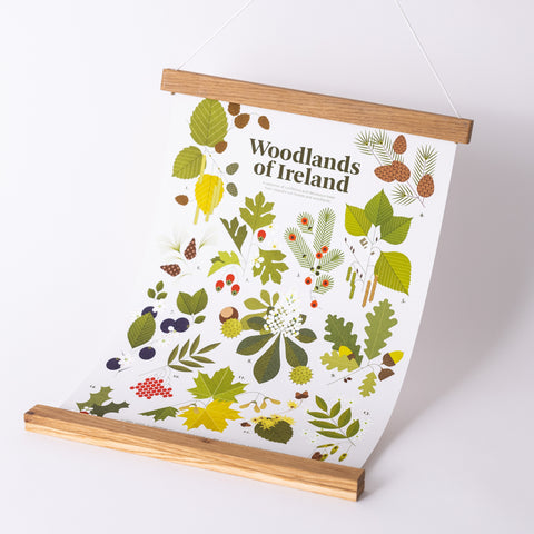Woodlands of Ireland Print