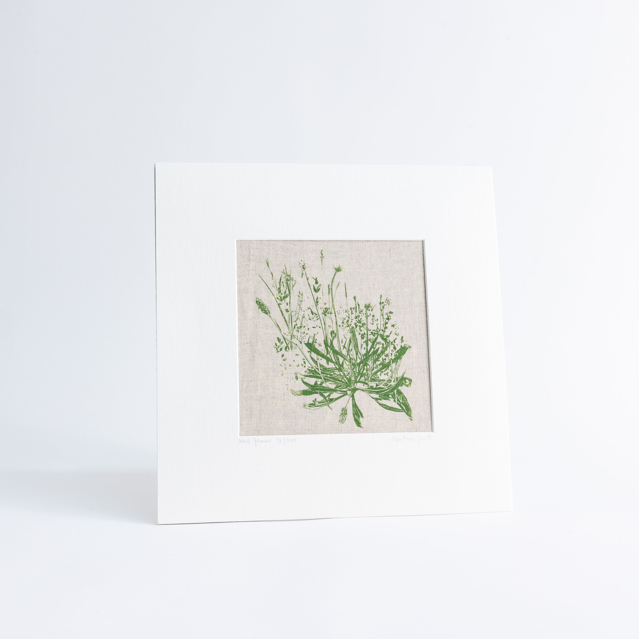 Wall Flower