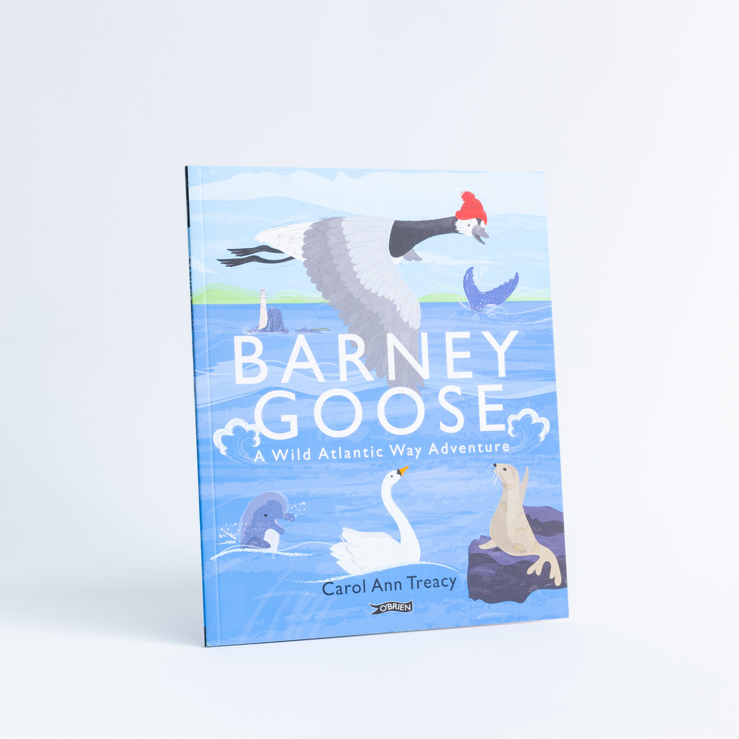 Barney Goose