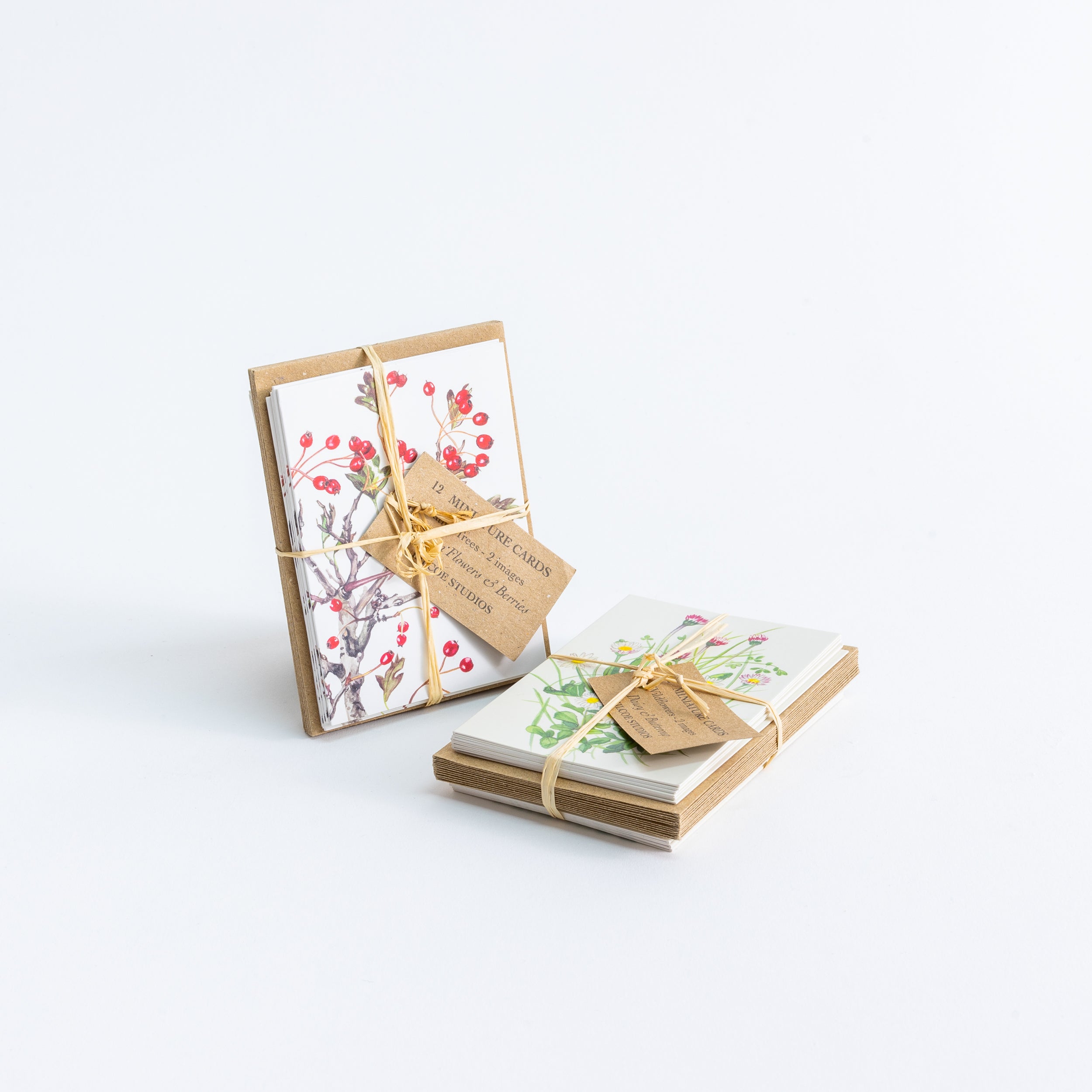 Kilcoe Miniature Cards