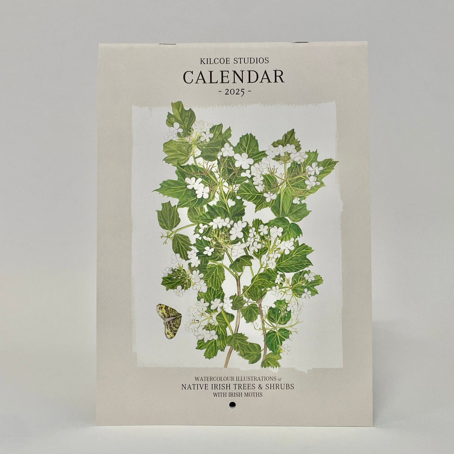 Kilcoe 2025 Calendar