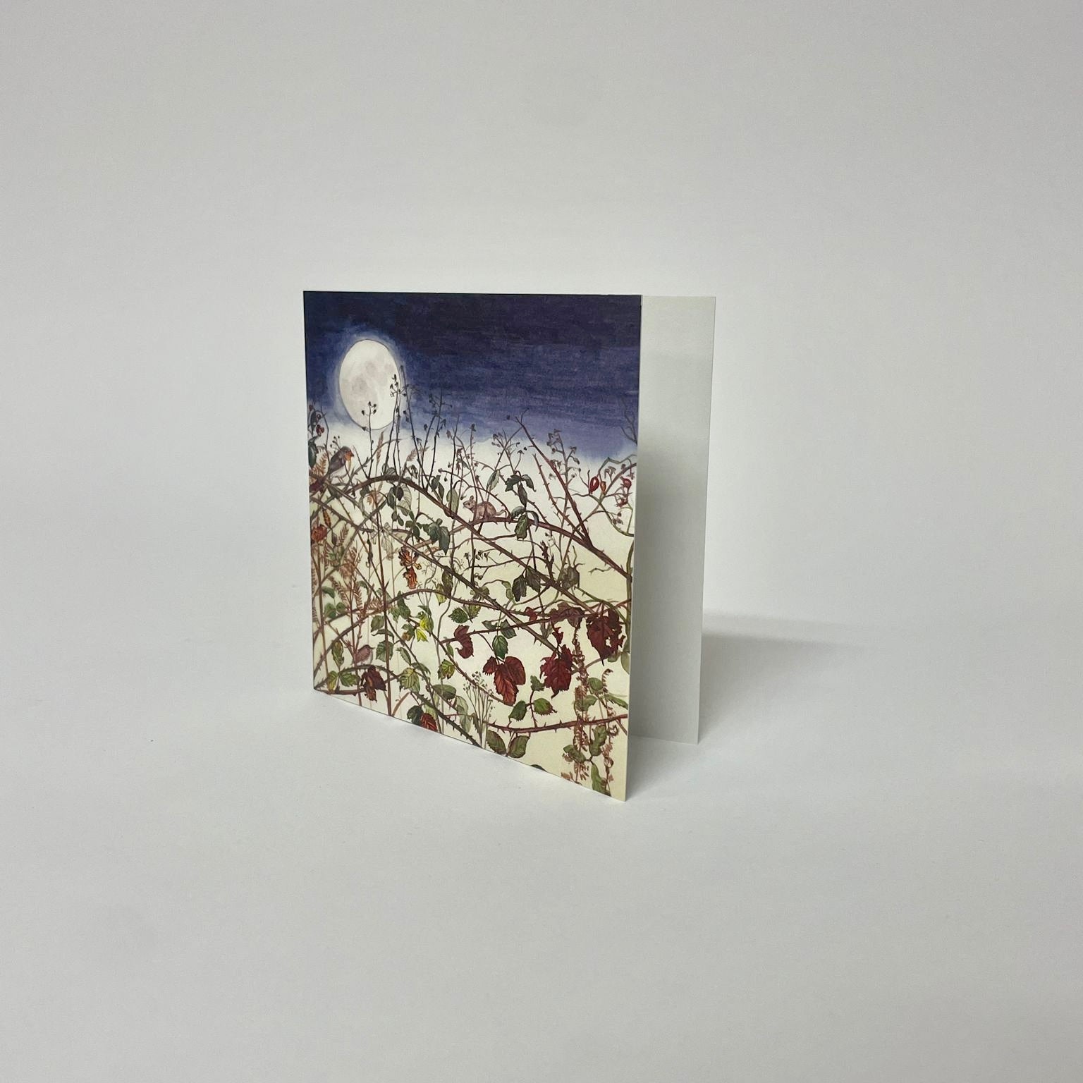 Moonlight Christmas Card Pack