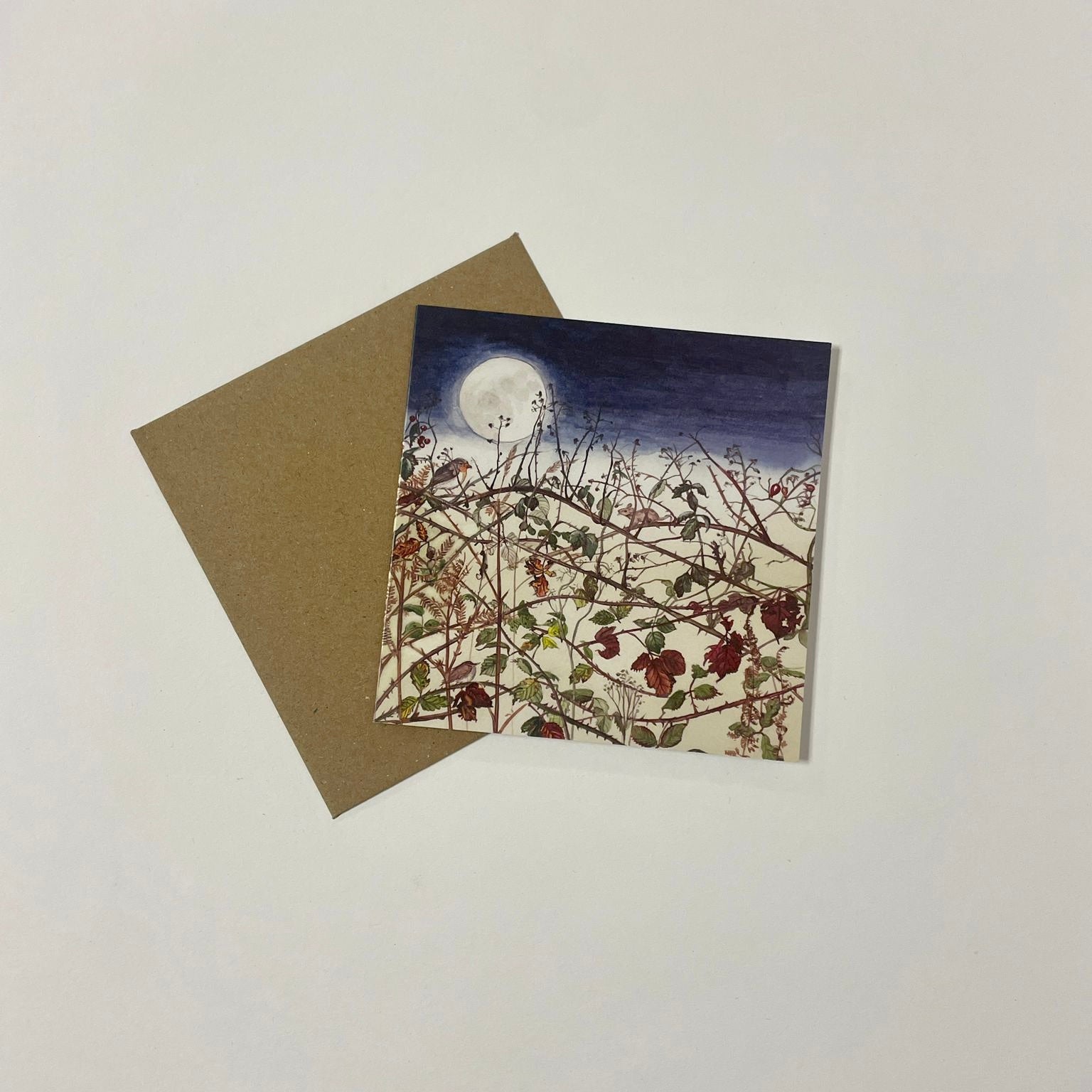 Moonlight Christmas Card Pack