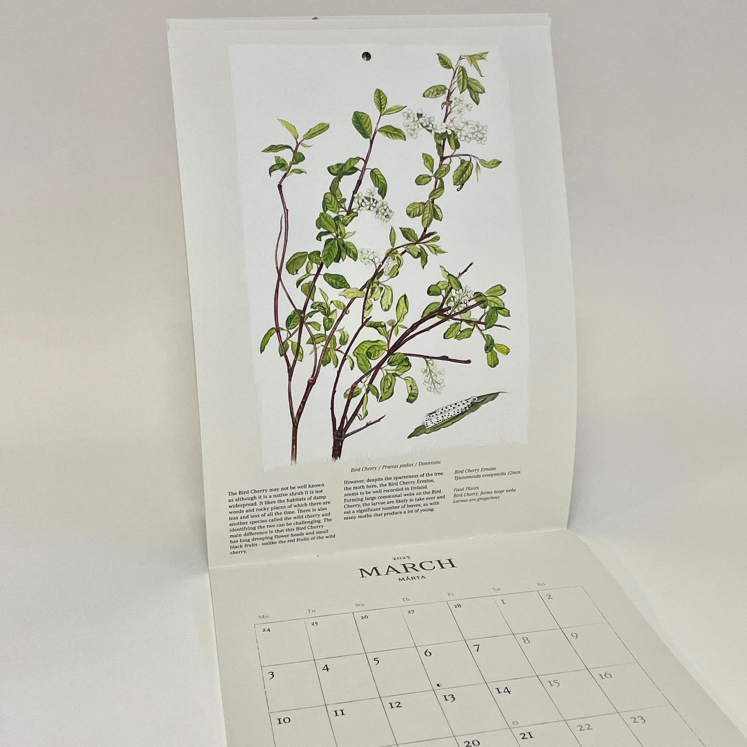 Kilcoe 2025 Calendar