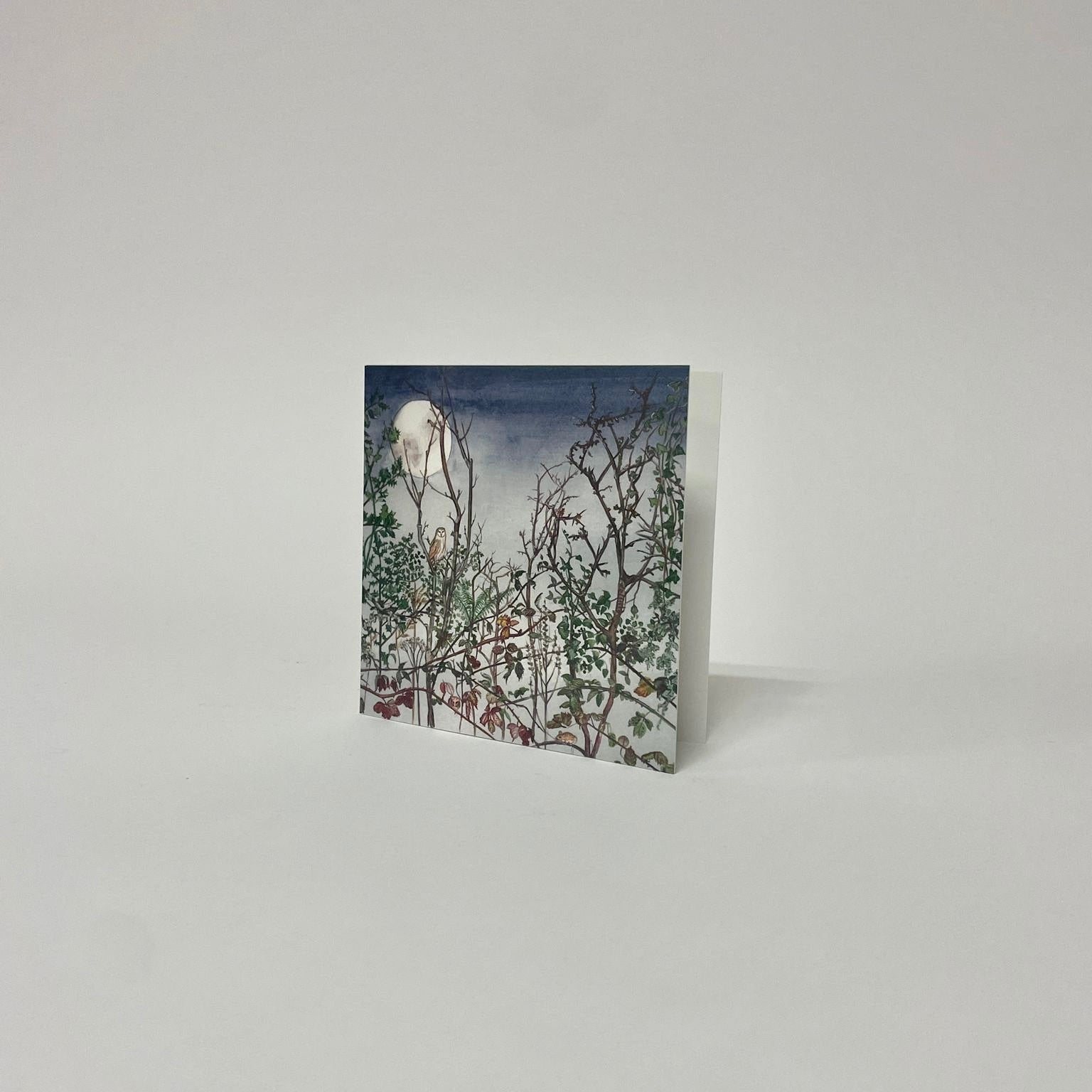 Moonlight Christmas Card Pack