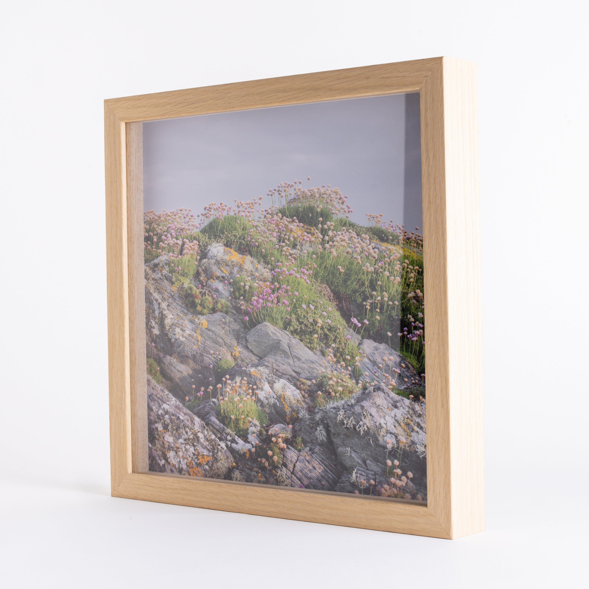 Framed Sea Pinks