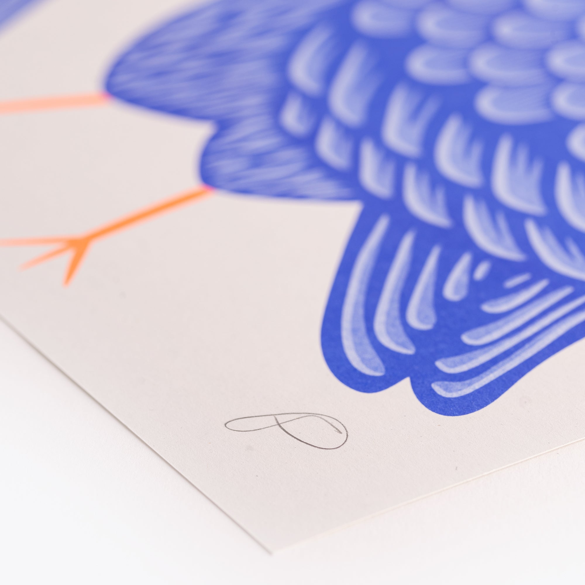 Pigeon Fancier Riso Print