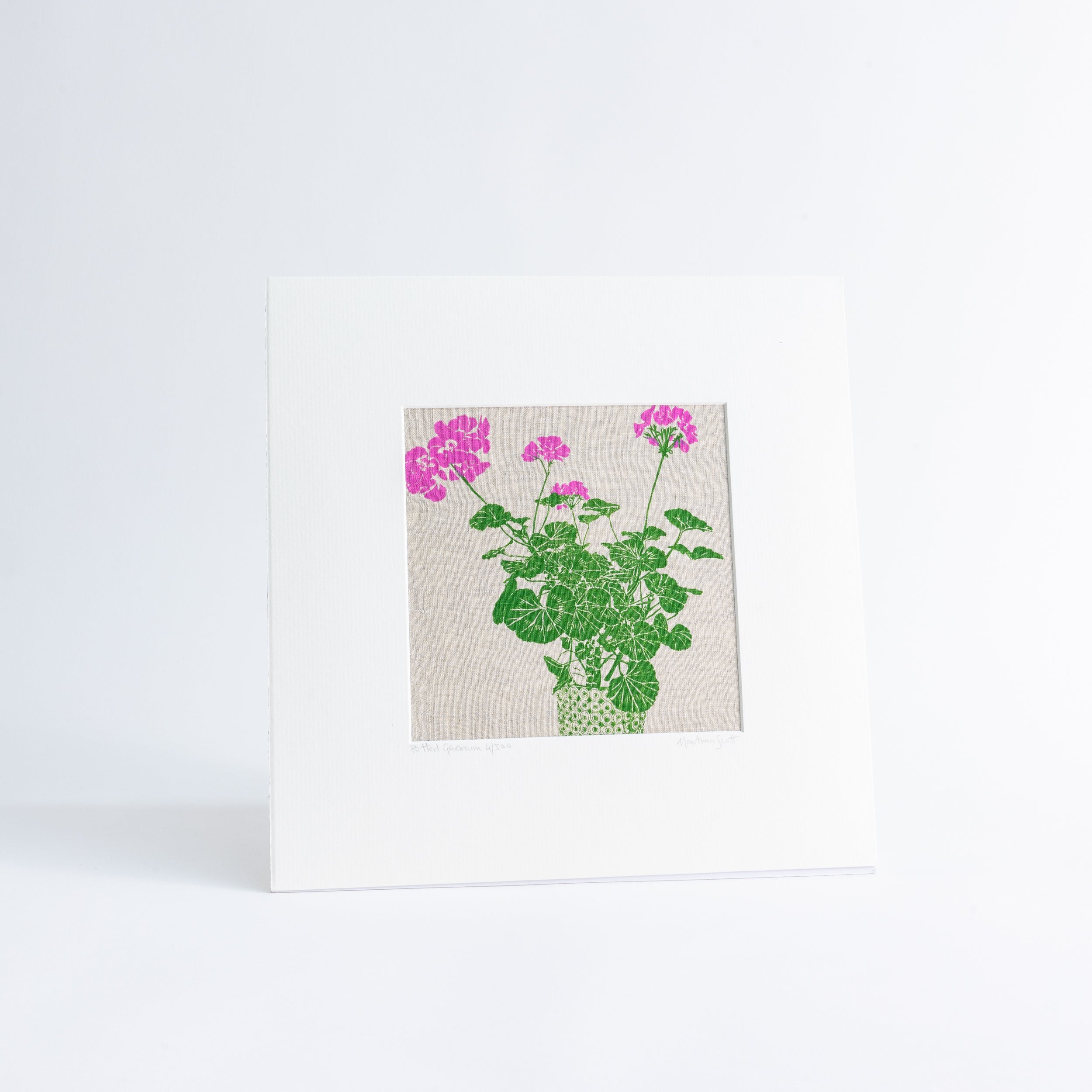 Potted Geranium