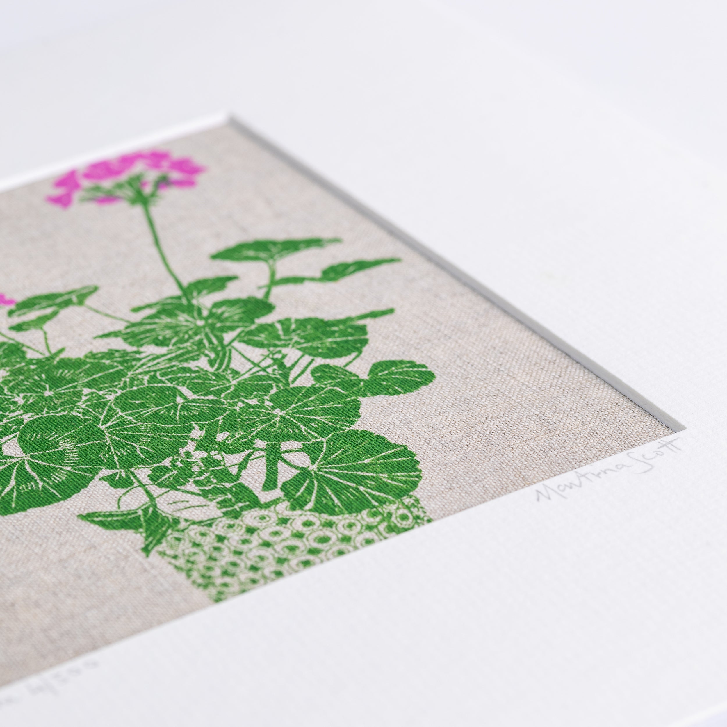 Potted Geranium