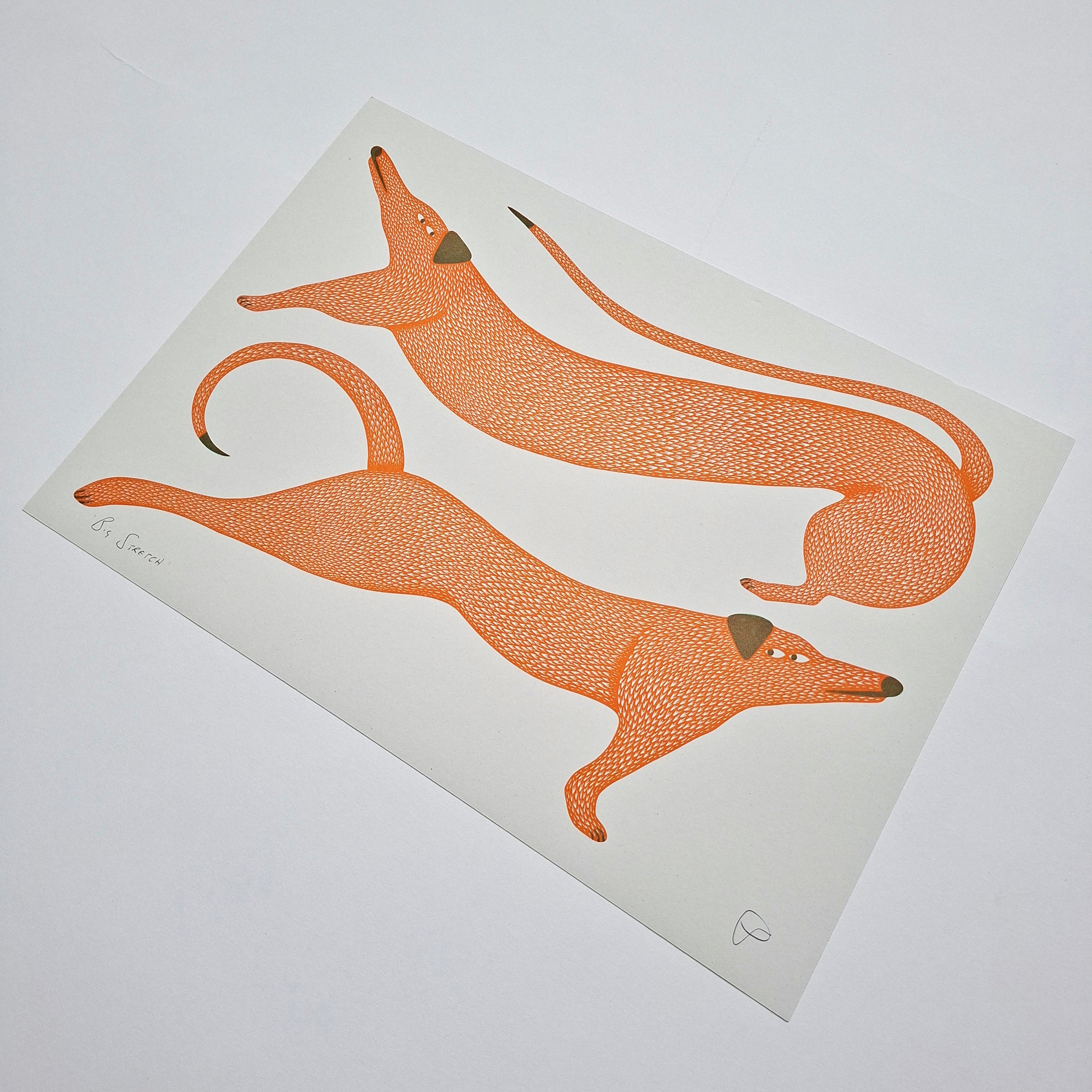 Big Stretch Riso Print