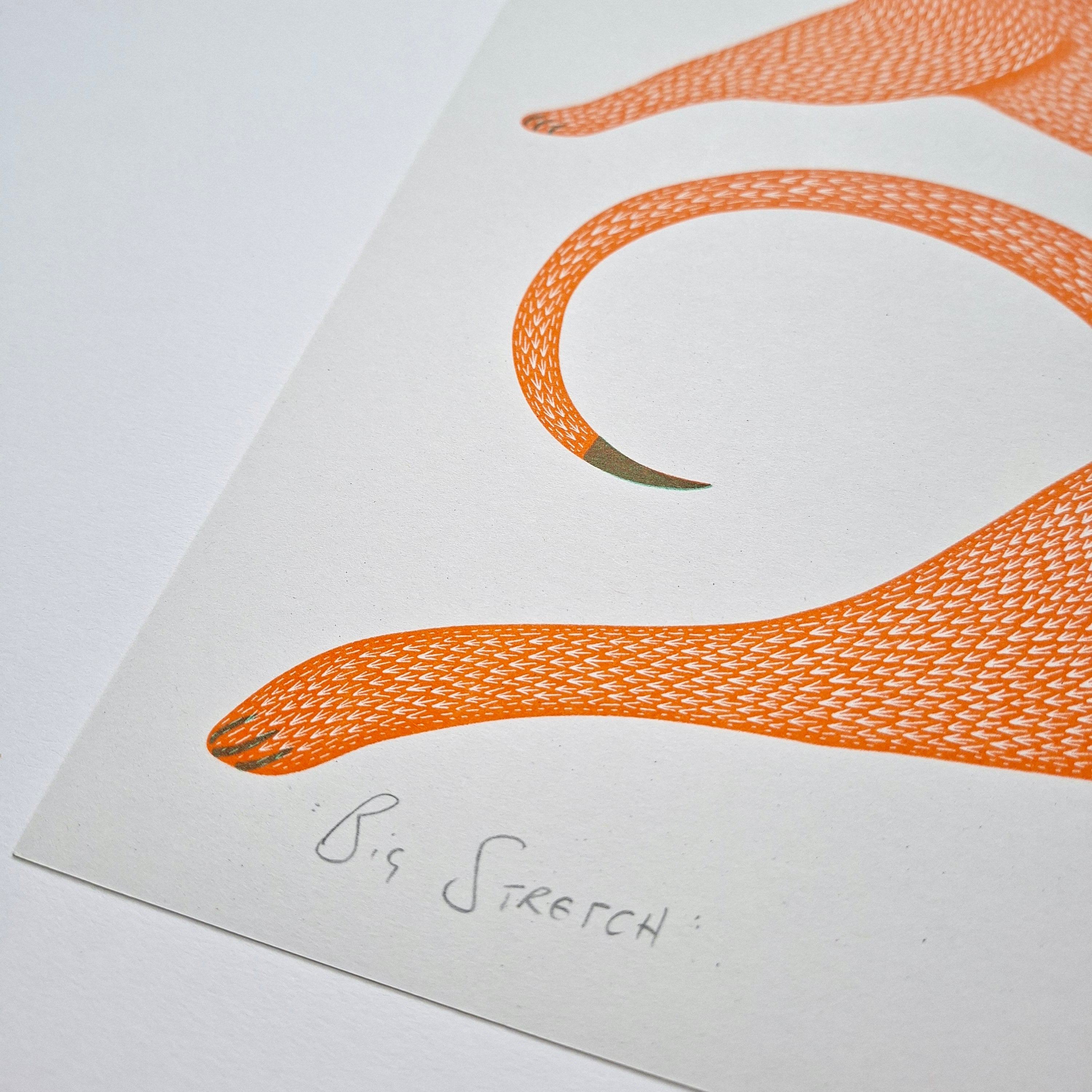 Big Stretch Riso Print