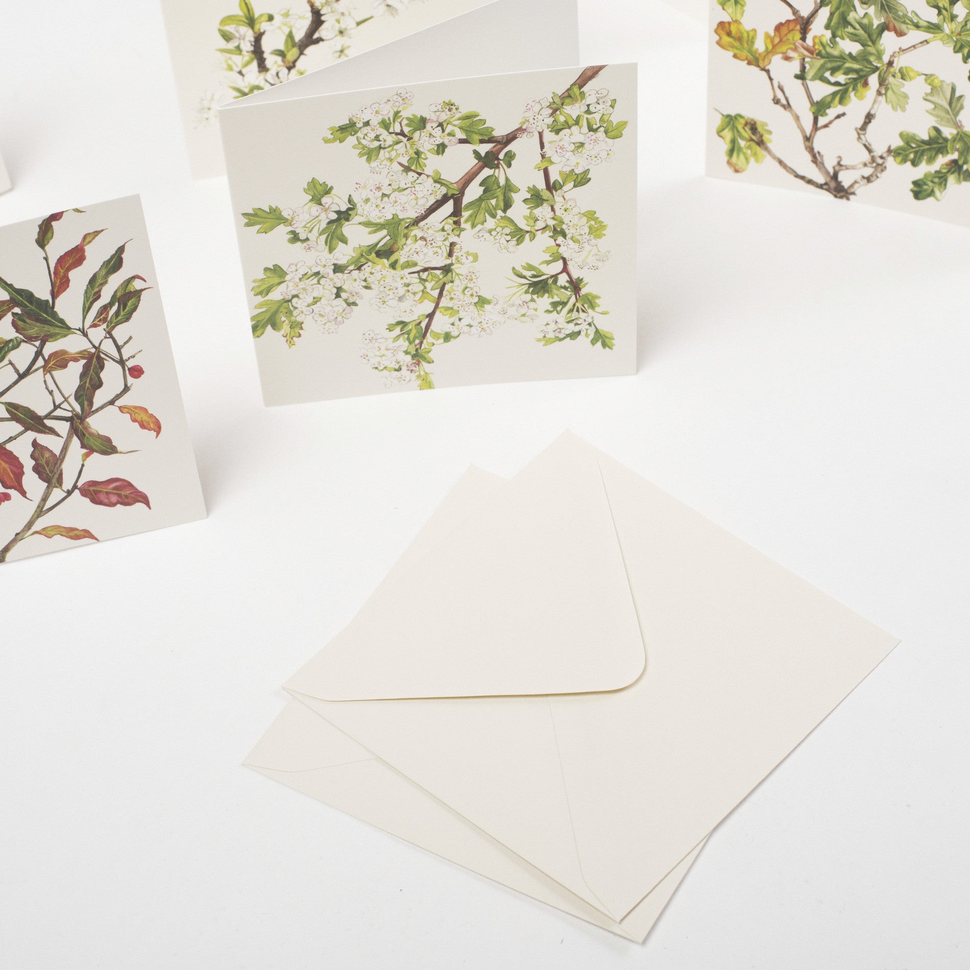 Irish Trees  Greeting Cards - Irish Design Shop
