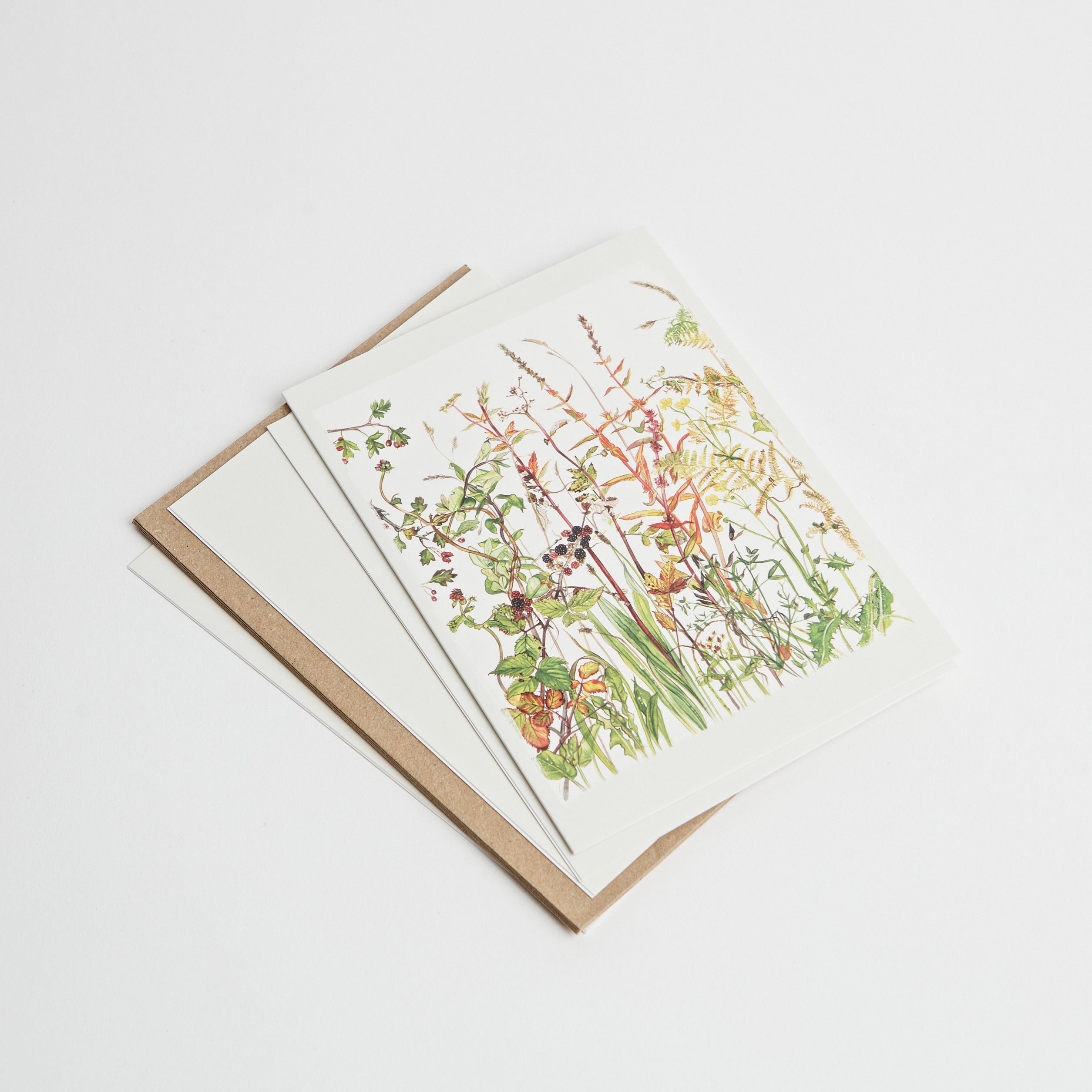 Irish Hedgerow Greeting Cards