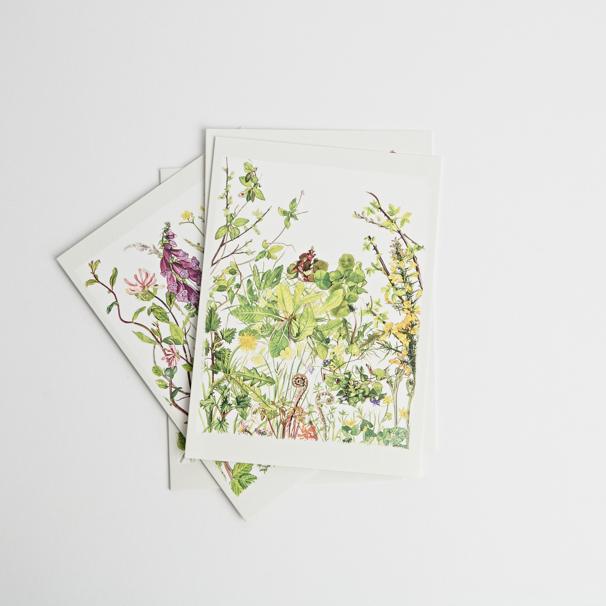 Irish Hedgerow Greeting Cards