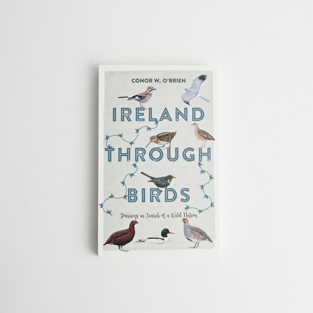Ireland Through Birds data-zoom=