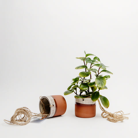 Hanging Plant Pot