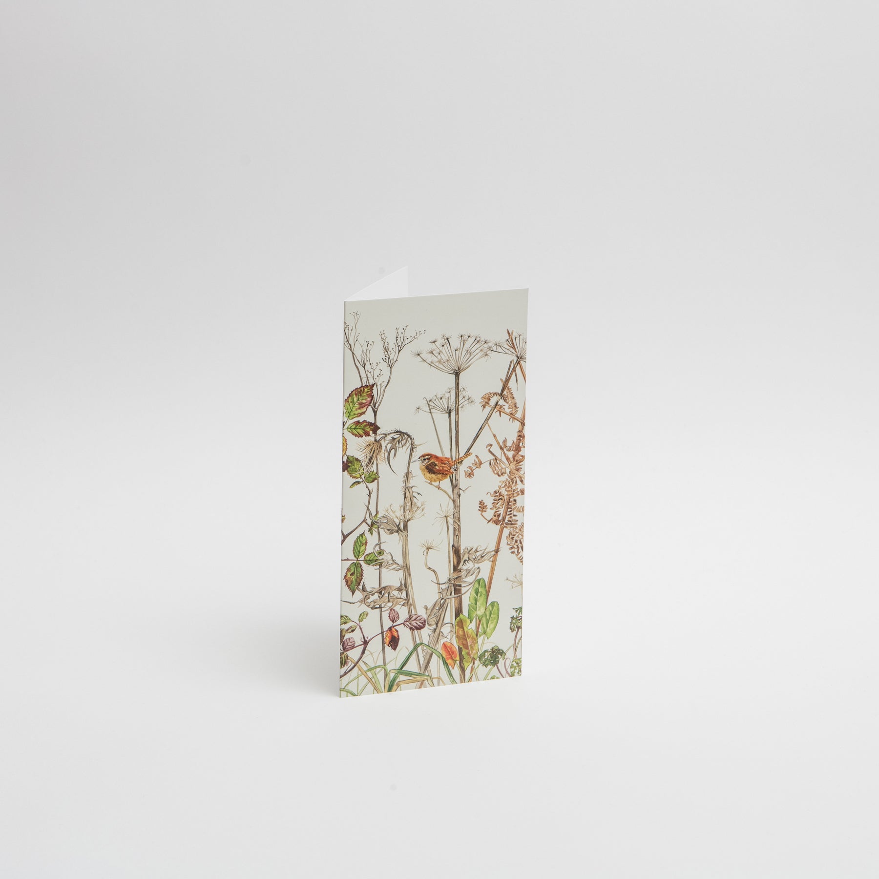 Wren Cards - Irish Design Shop