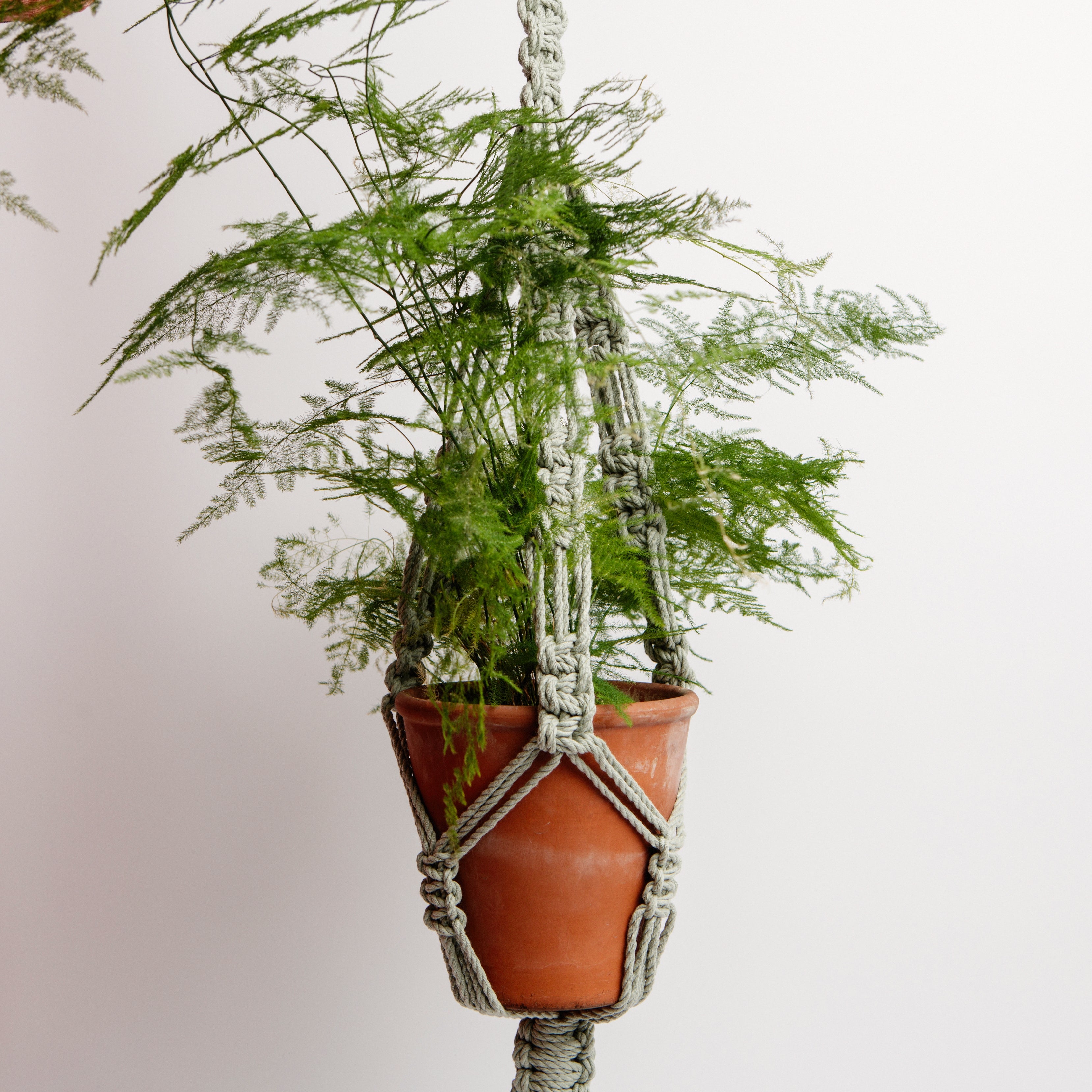 Macrame Classic Cotton Plant Holder