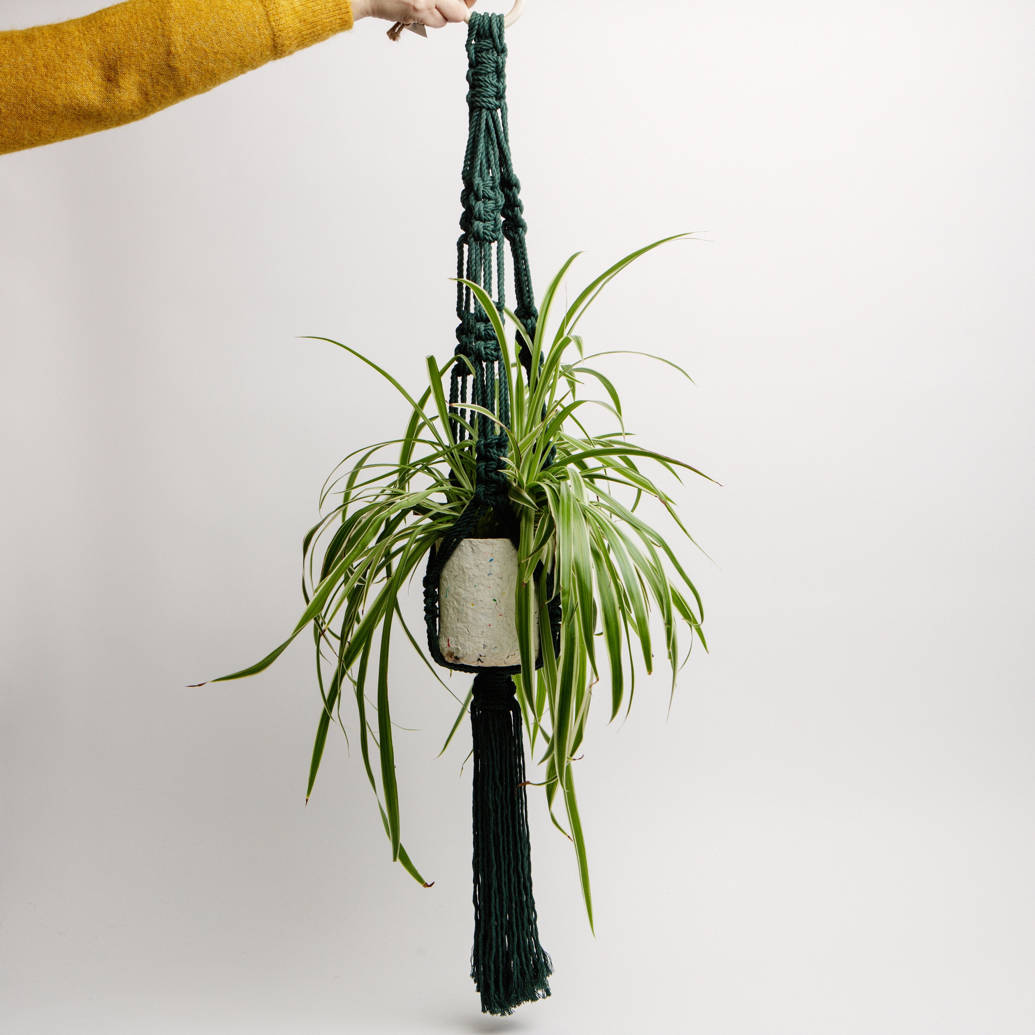 Macrame Classic Cotton Plant Holder